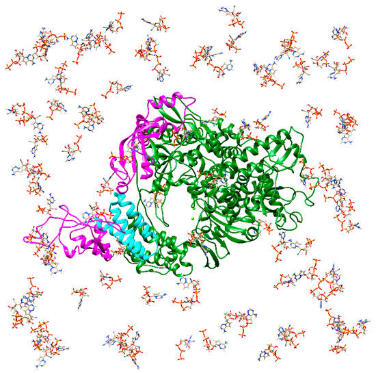 State-of-the-Art Molecular Dynamics Simulation Studies of