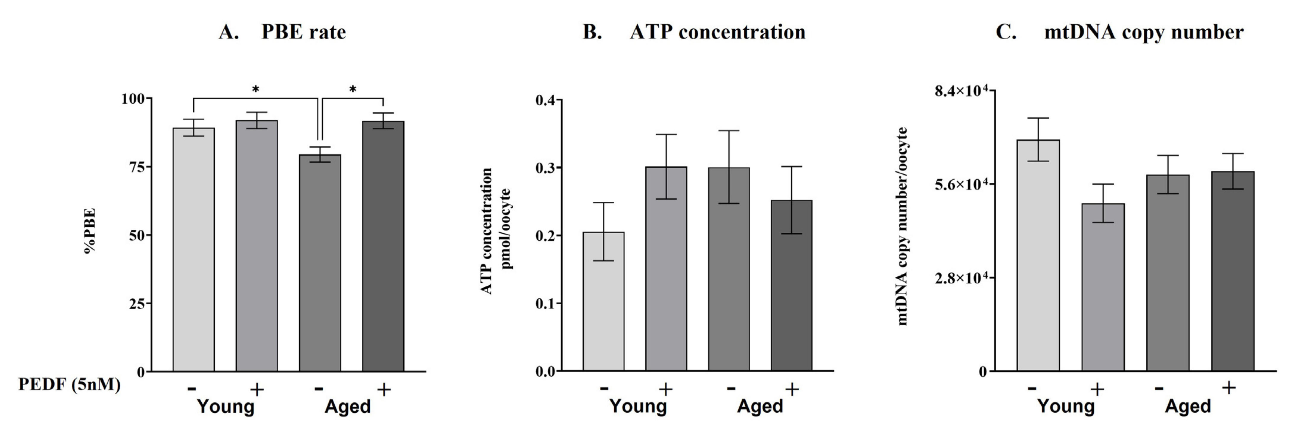 Ijms 23 10359 g004 Ijms 23 10359 g004