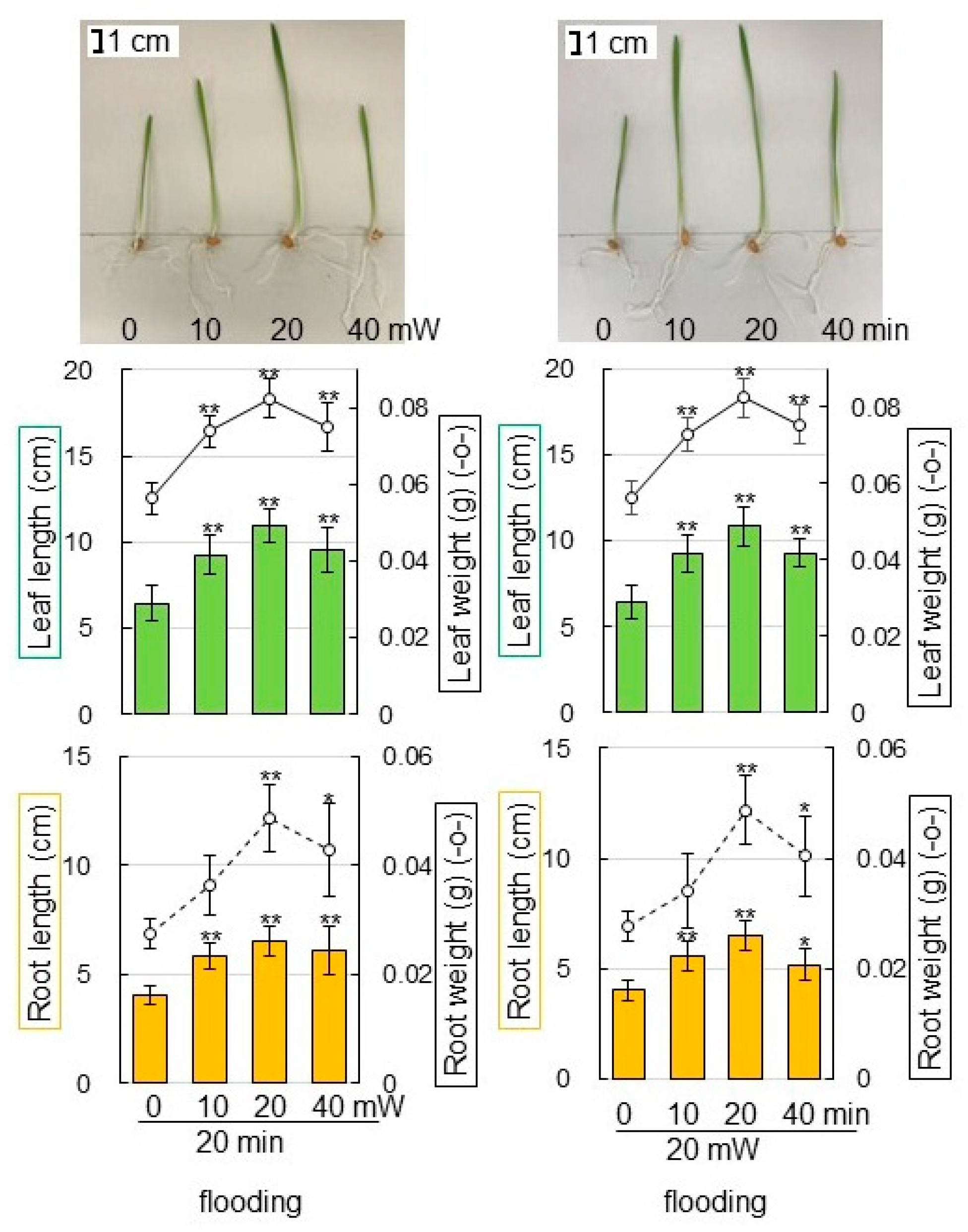 Ijms 23 10360 g001 550