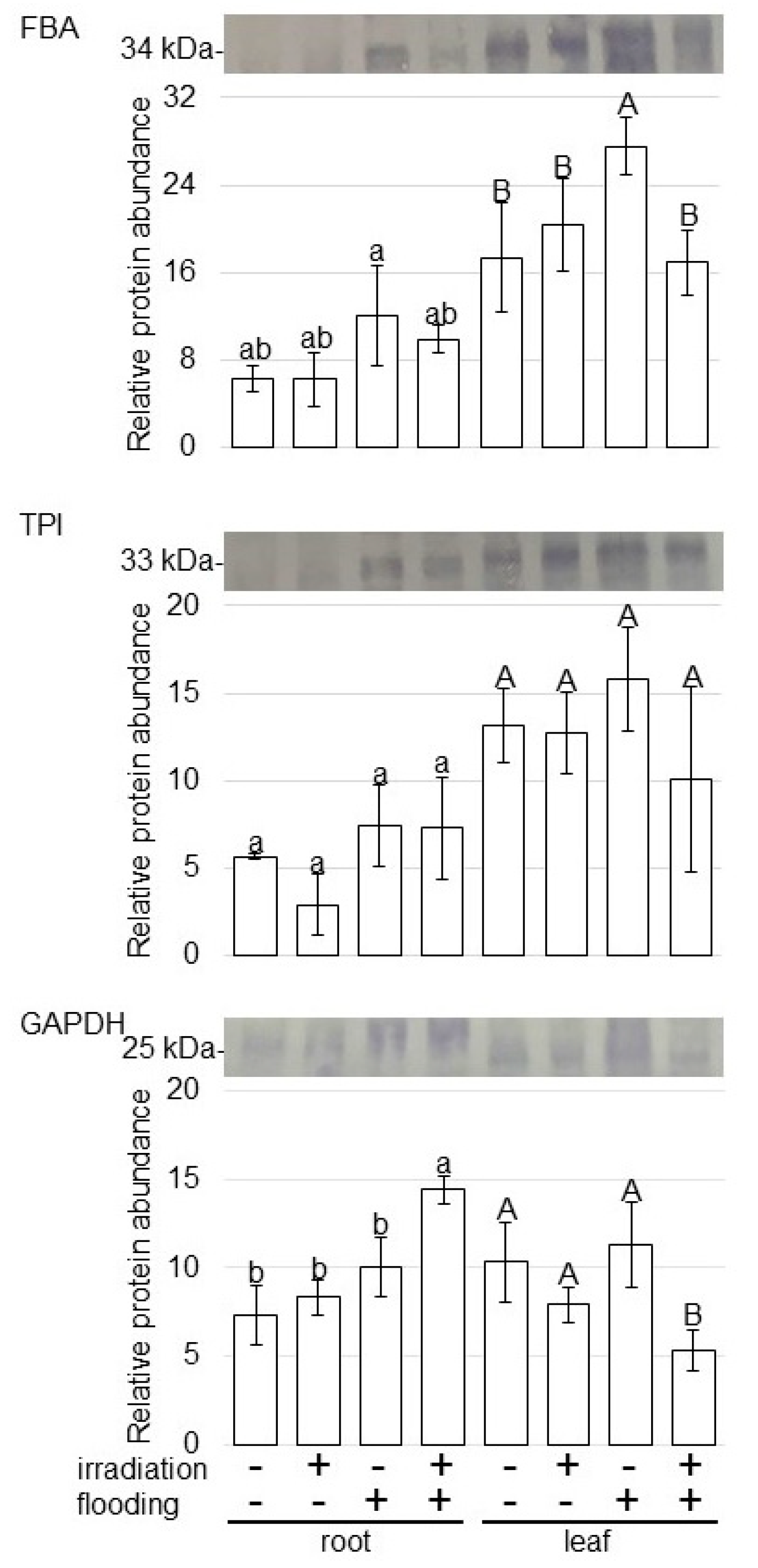 Ijms 23 10360 g005 550