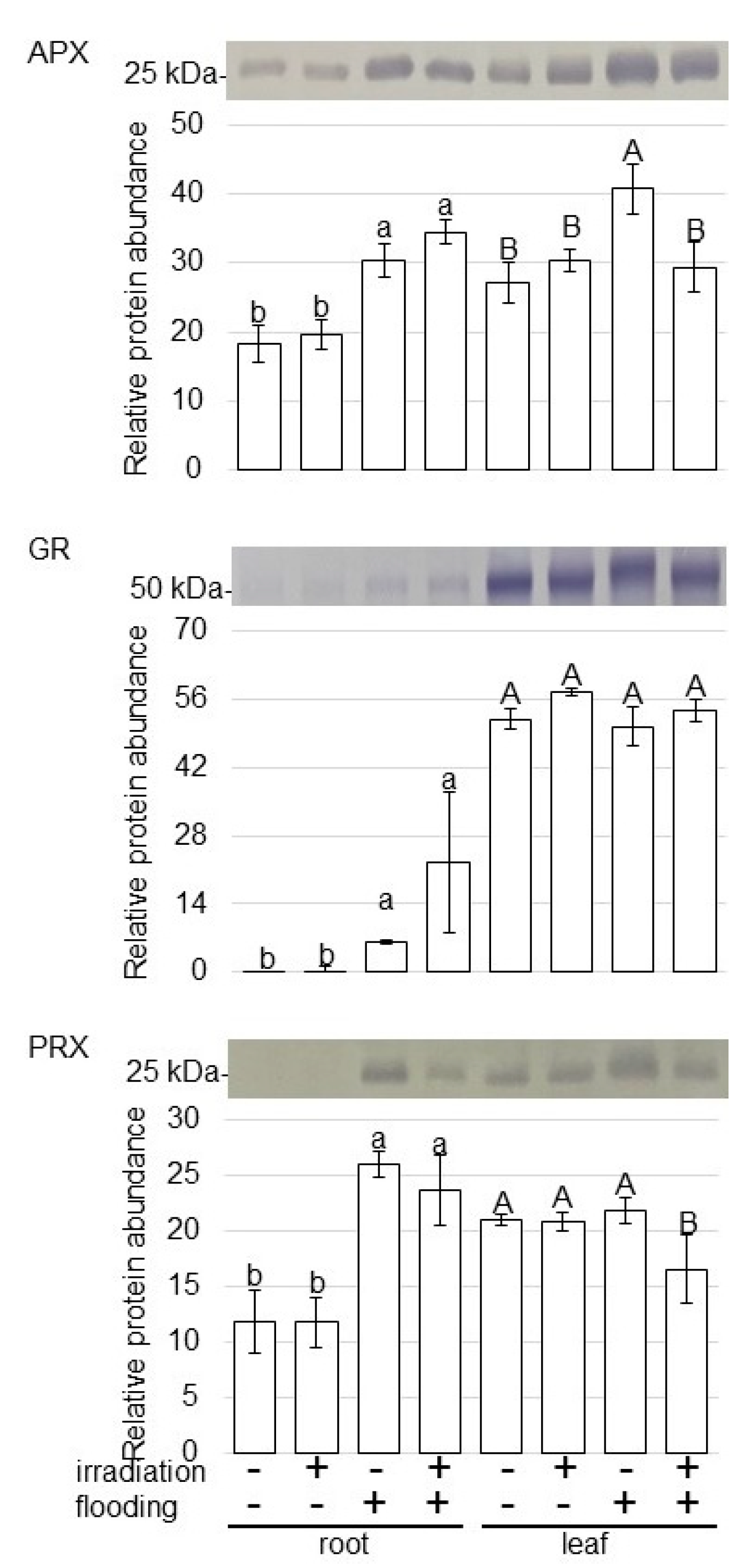 Ijms 23 10360 g006 550