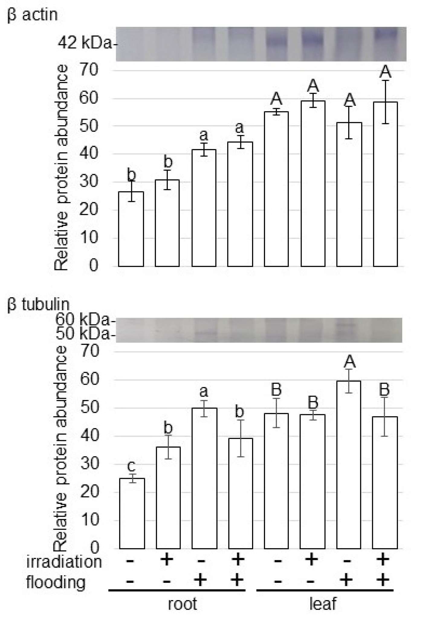 Ijms 23 10360 g007 550