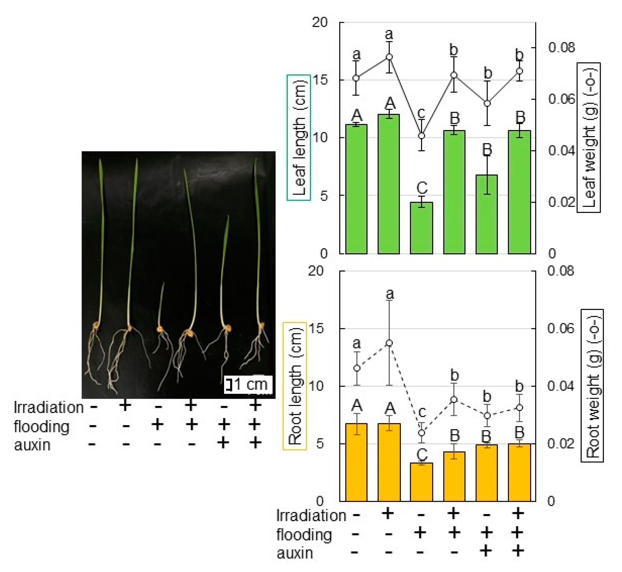 Ijms 23 10360 g008 550
