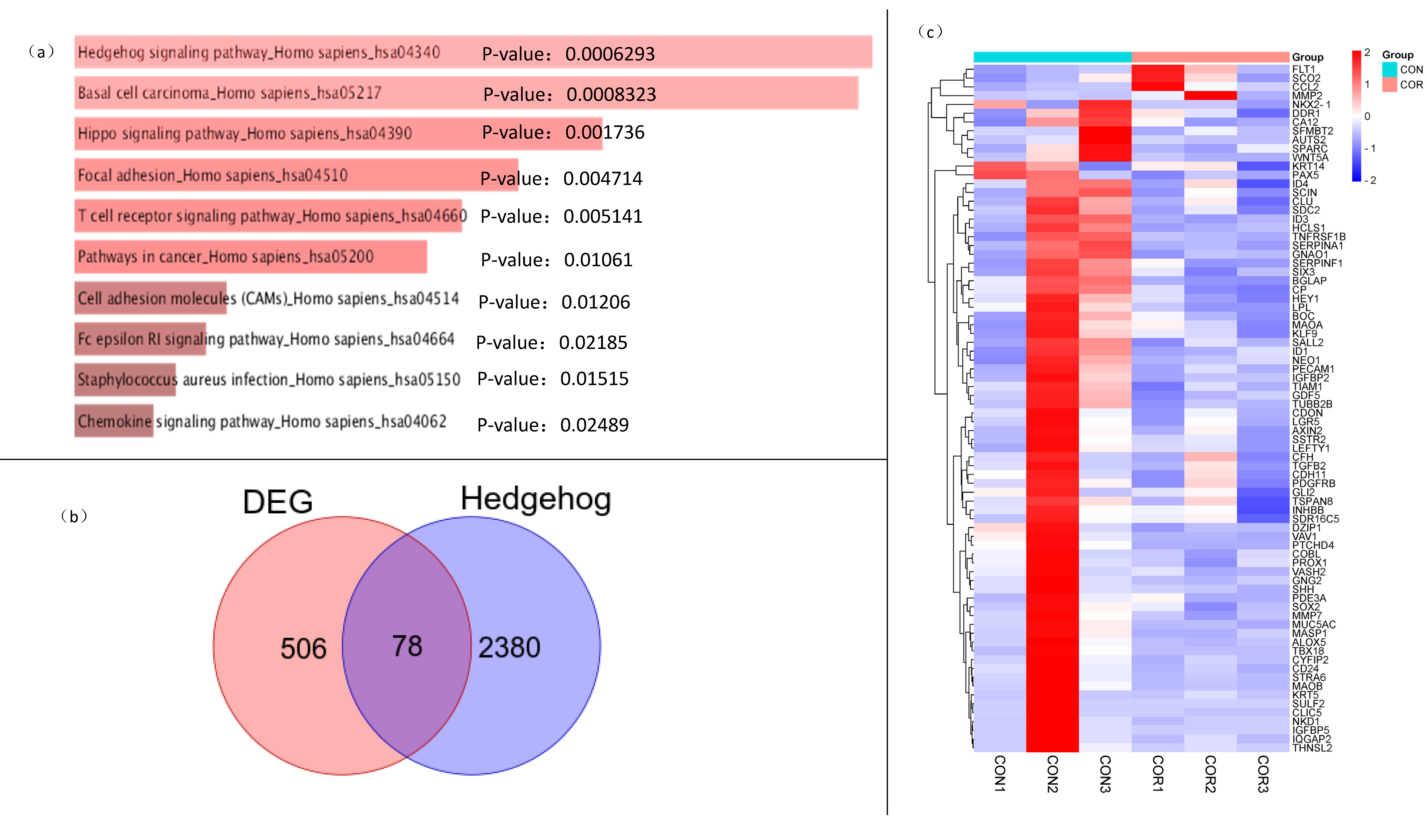 Ijms 23 10362 g004 Ijms 23 10362 g004