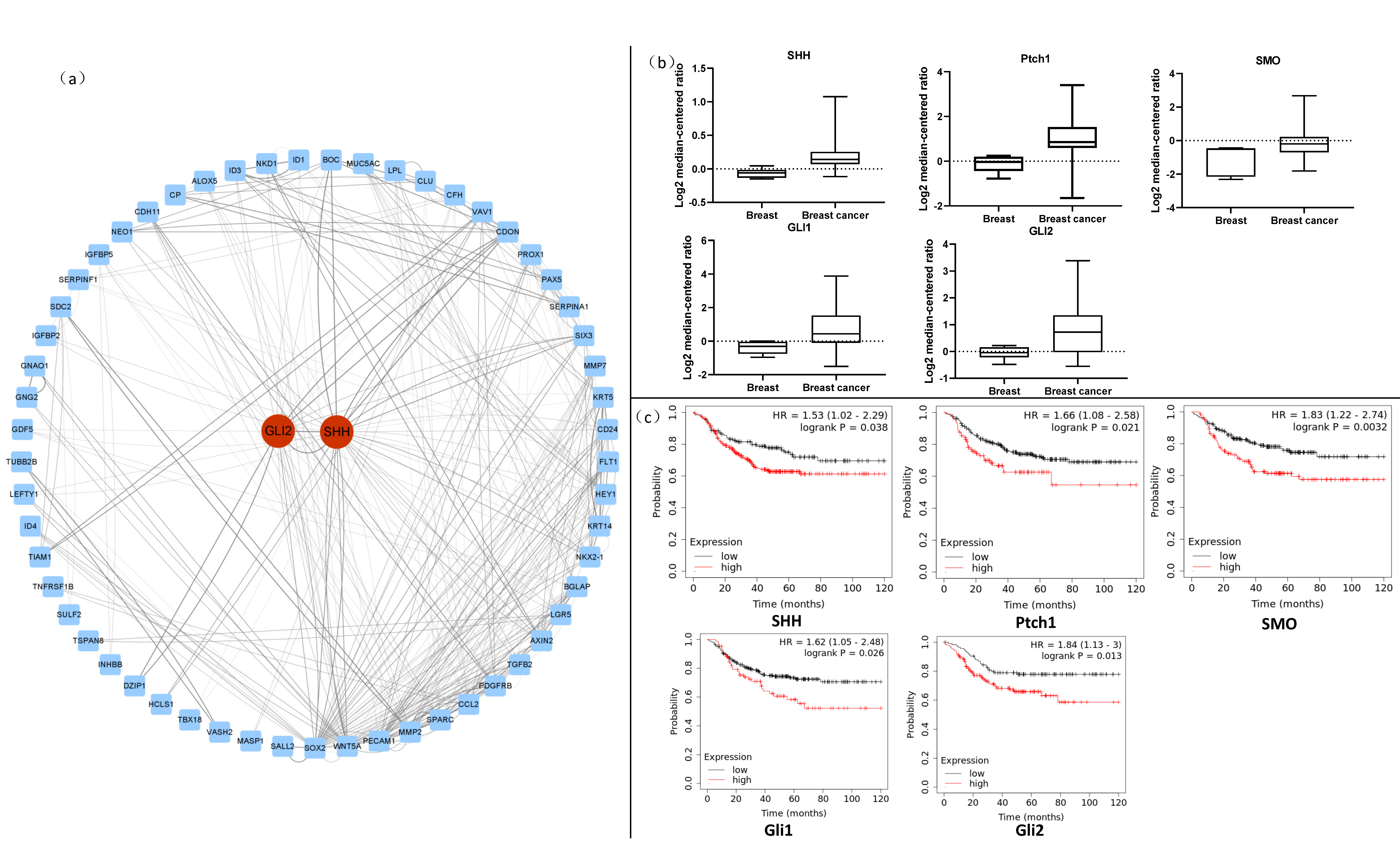 Ijms 23 10362 g005 Ijms 23 10362 g005