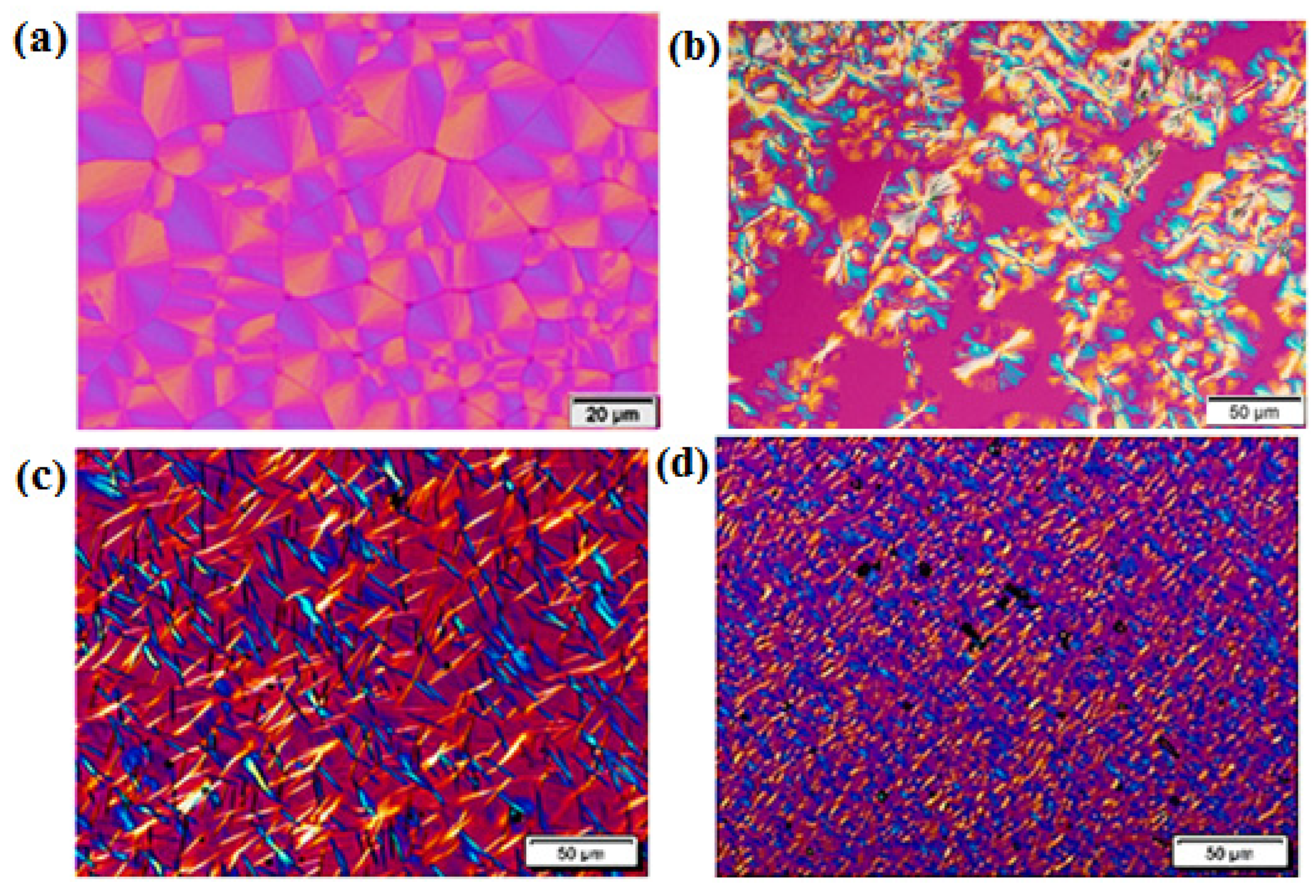 Ijms 23 10365 g003 550