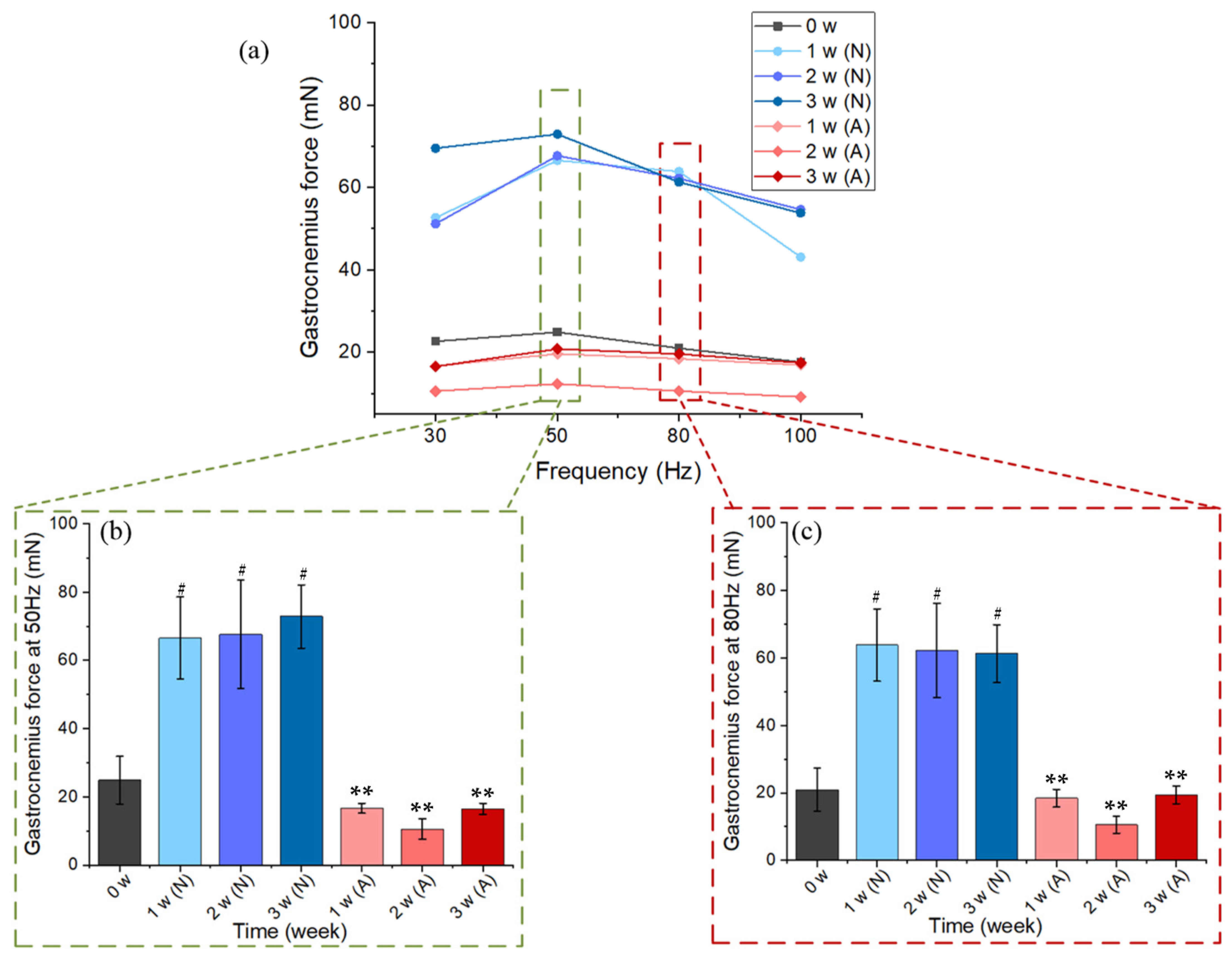 Ijms 23 10369 g002 550