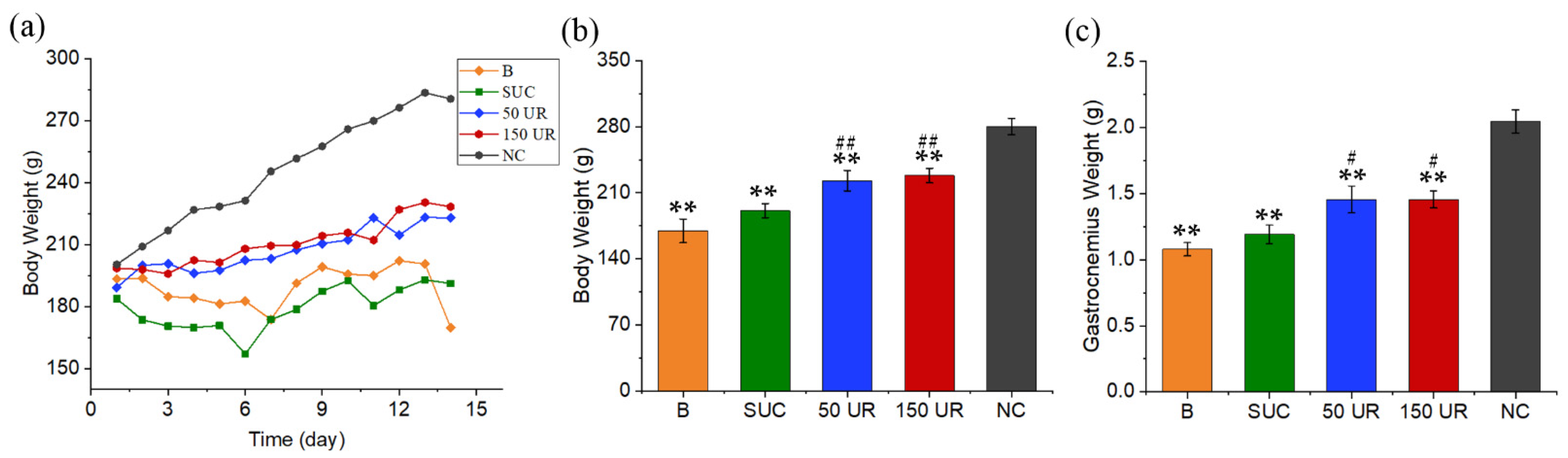 Ijms 23 10369 g004 550