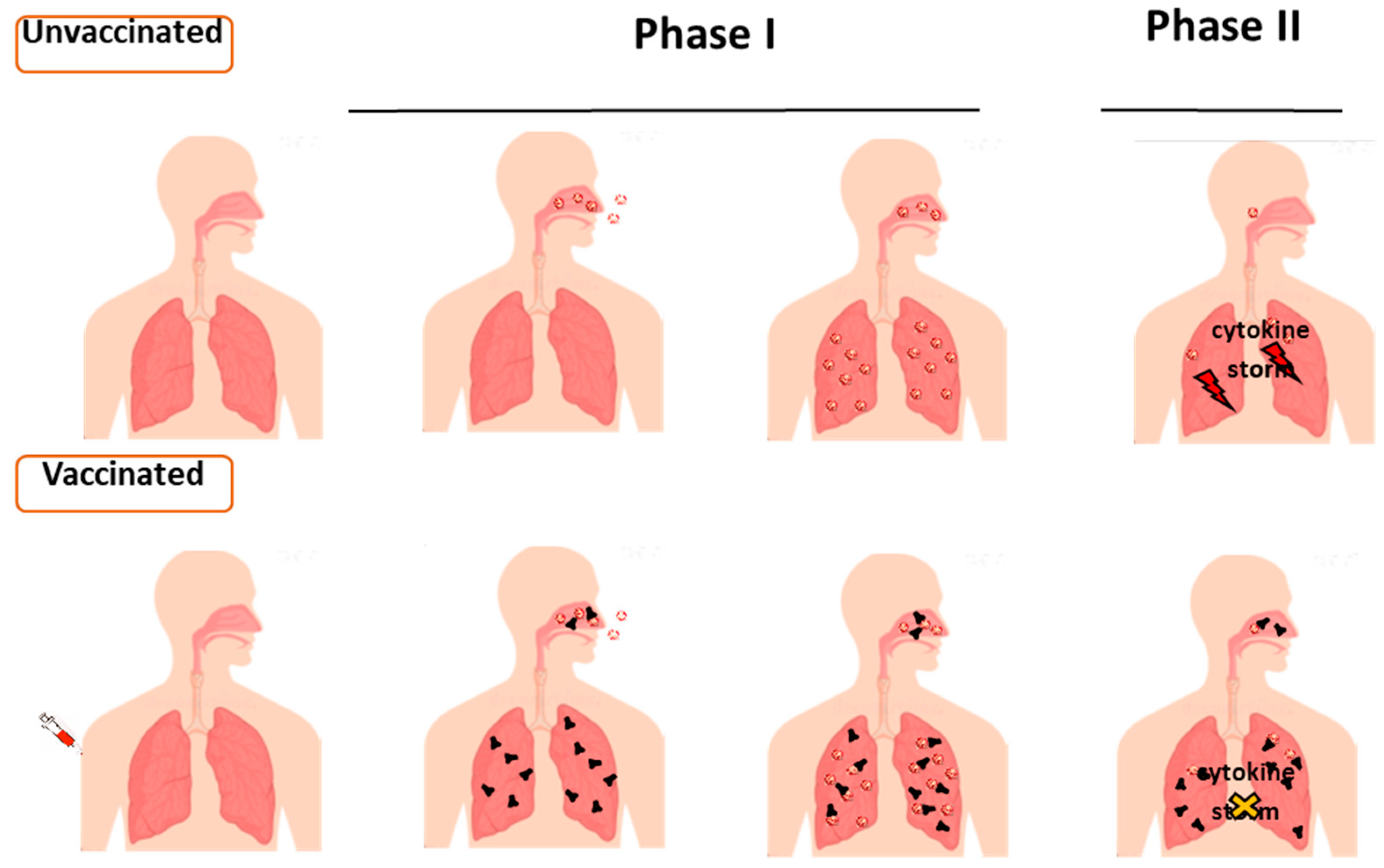 Ijms 23 10374 g001 550