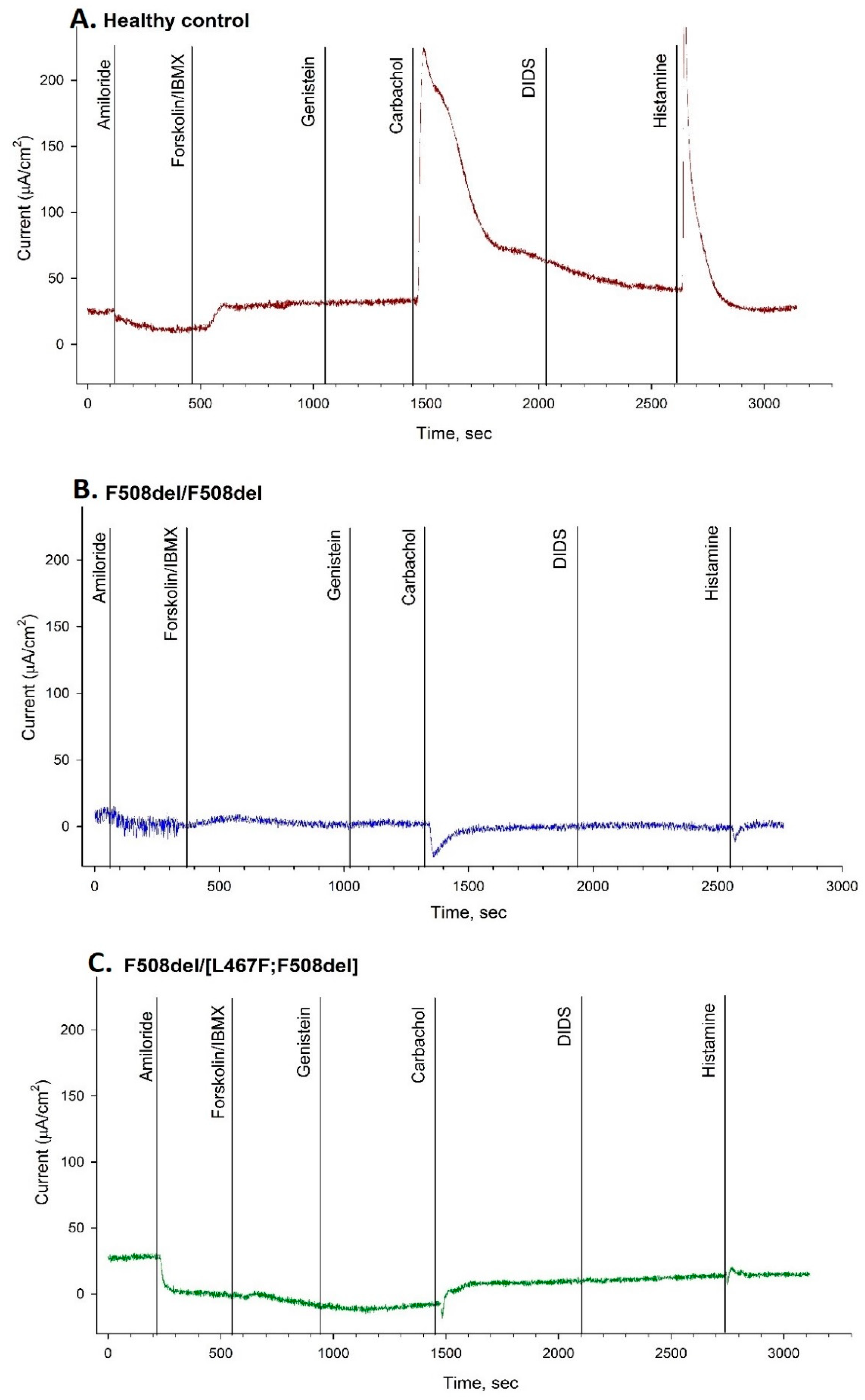 Ijms 23 10377 g001 Ijms 23 10377 g001