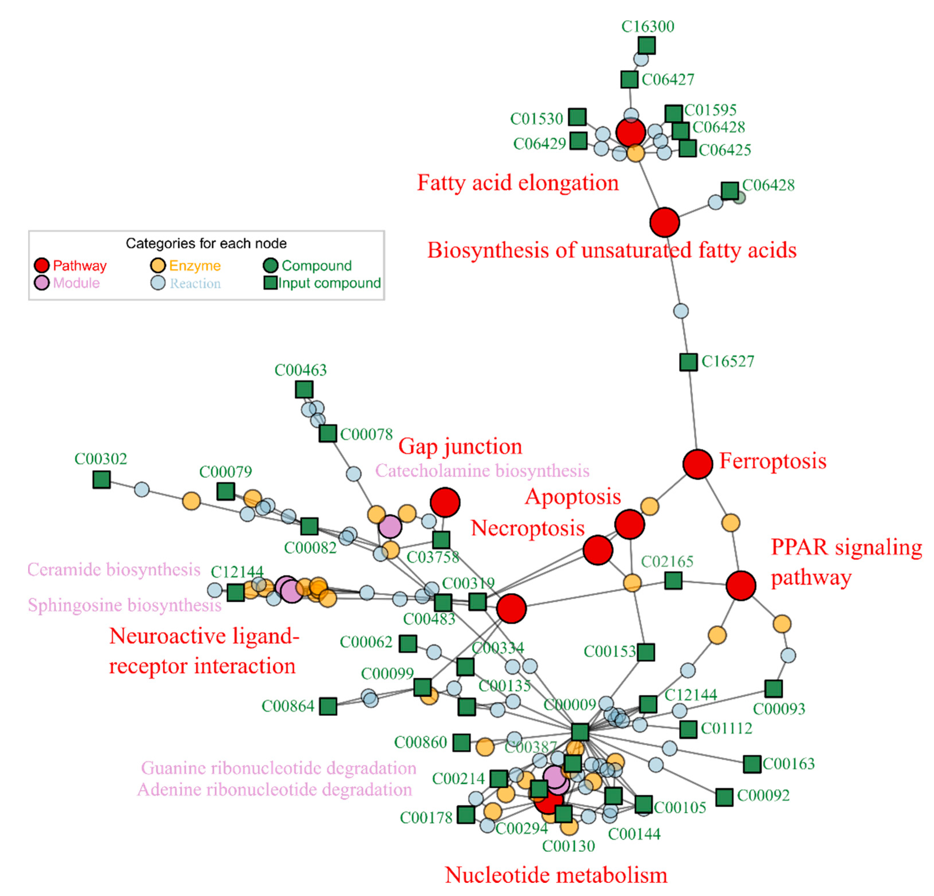 Ijms 23 10385 g004 550