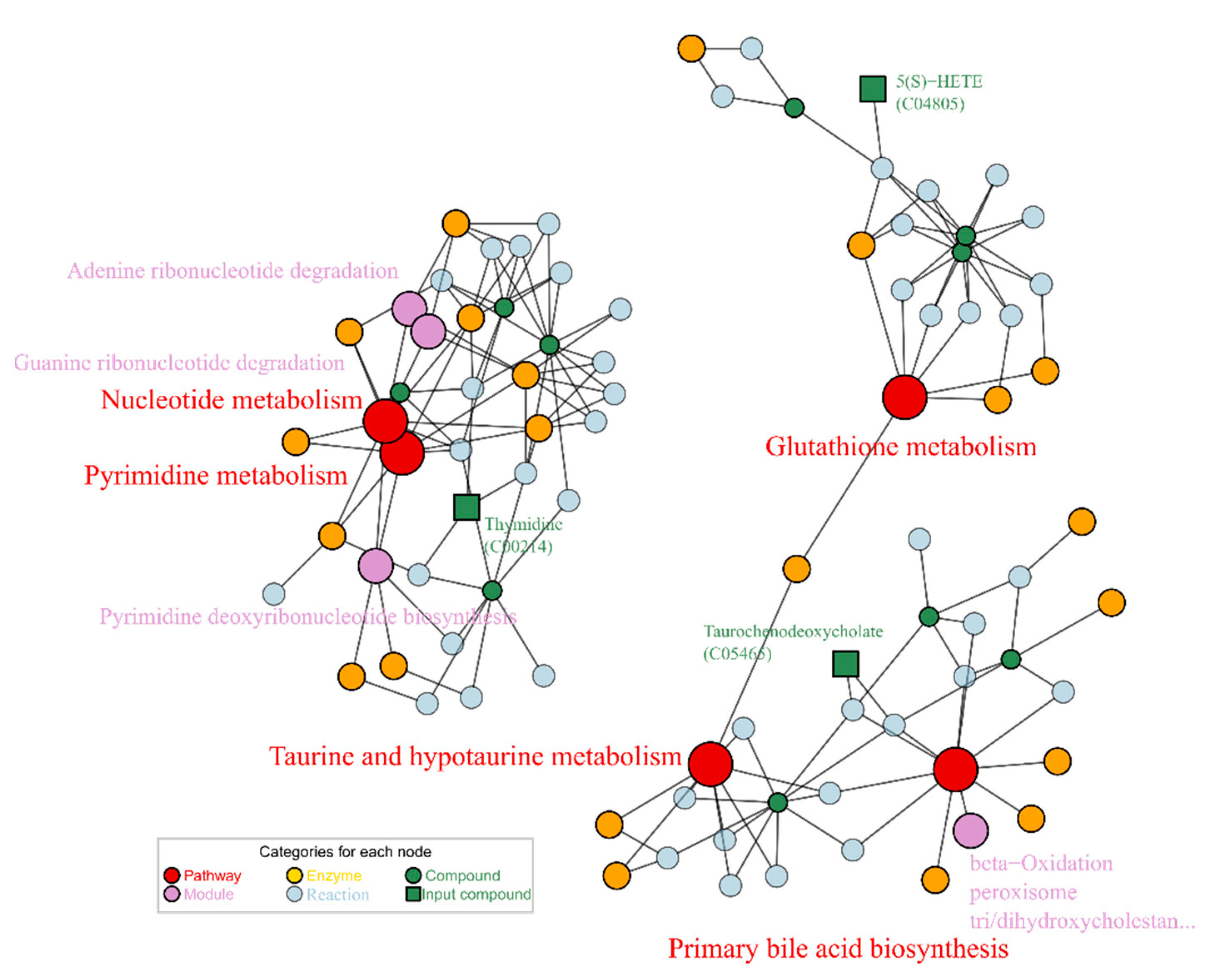 Ijms 23 10385 g008 550