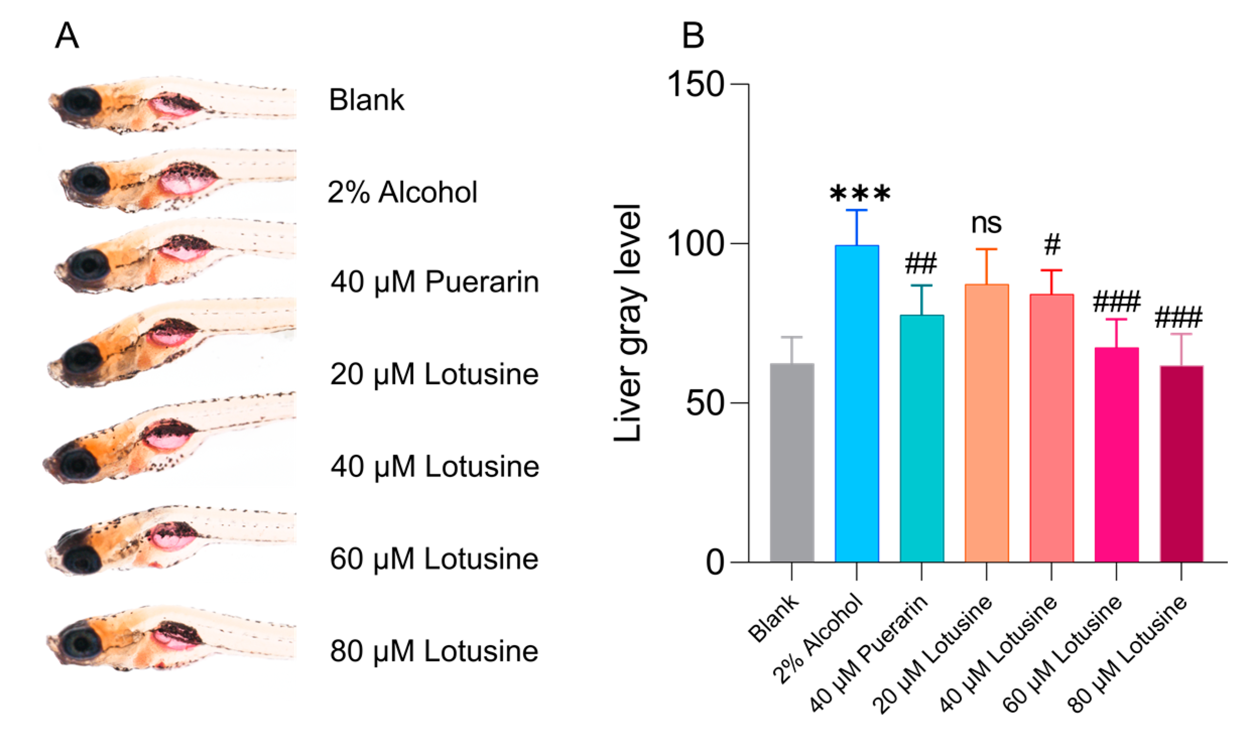 Ijms 23 10385 g010 550