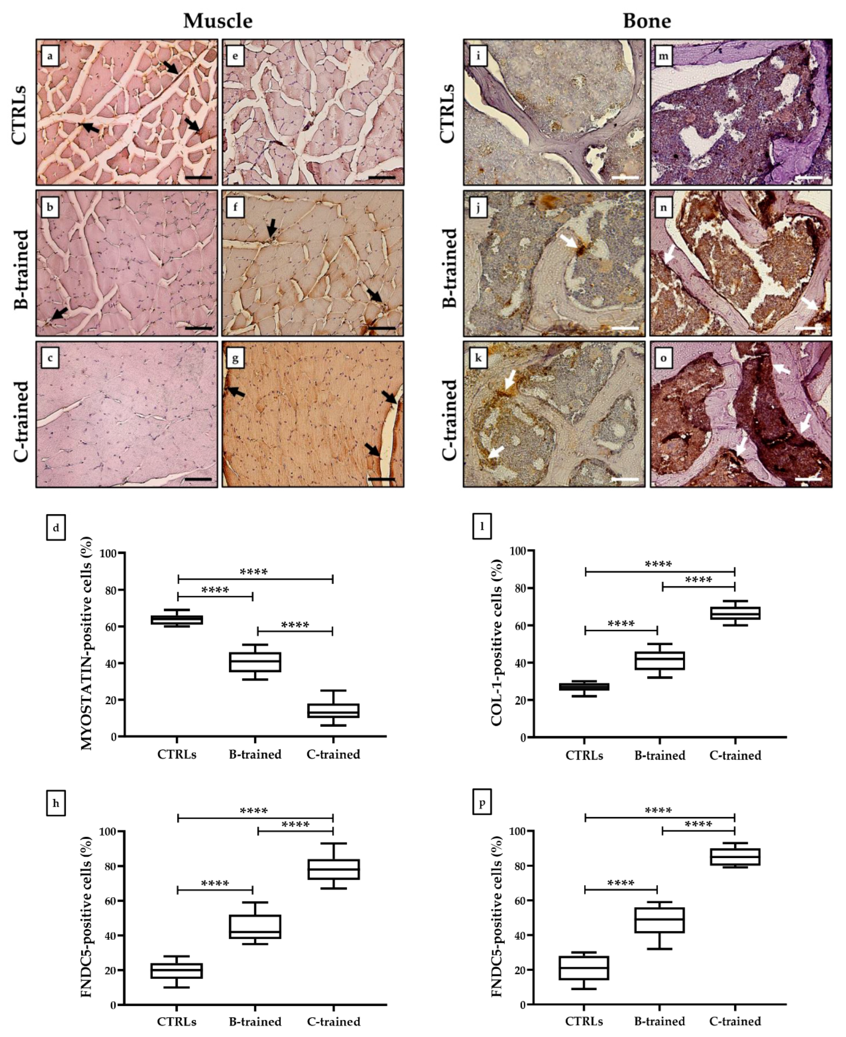 Ijms 23 10388 g005 550