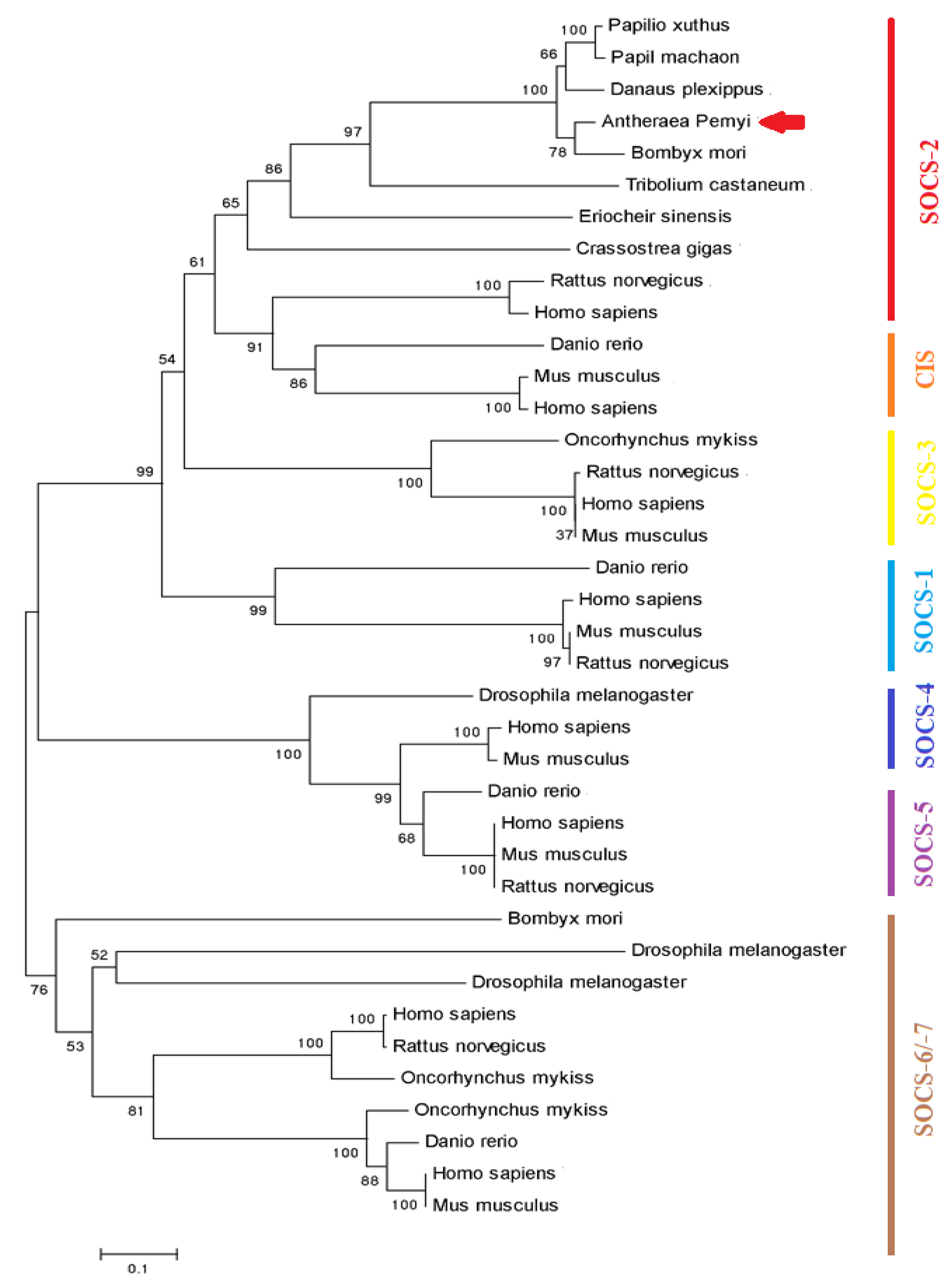 Ijms 23 10389 g002 550