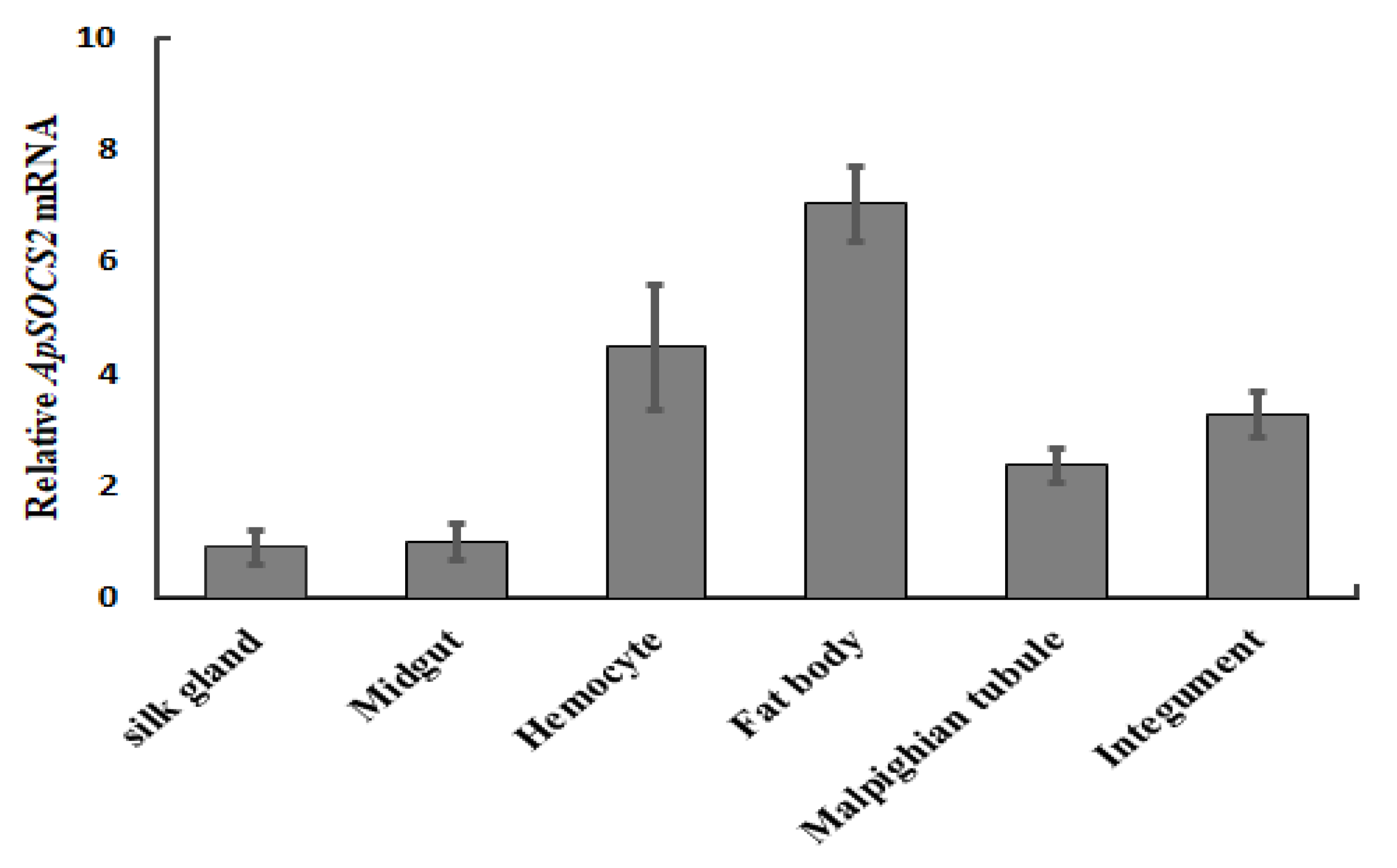 Ijms 23 10389 g004 550