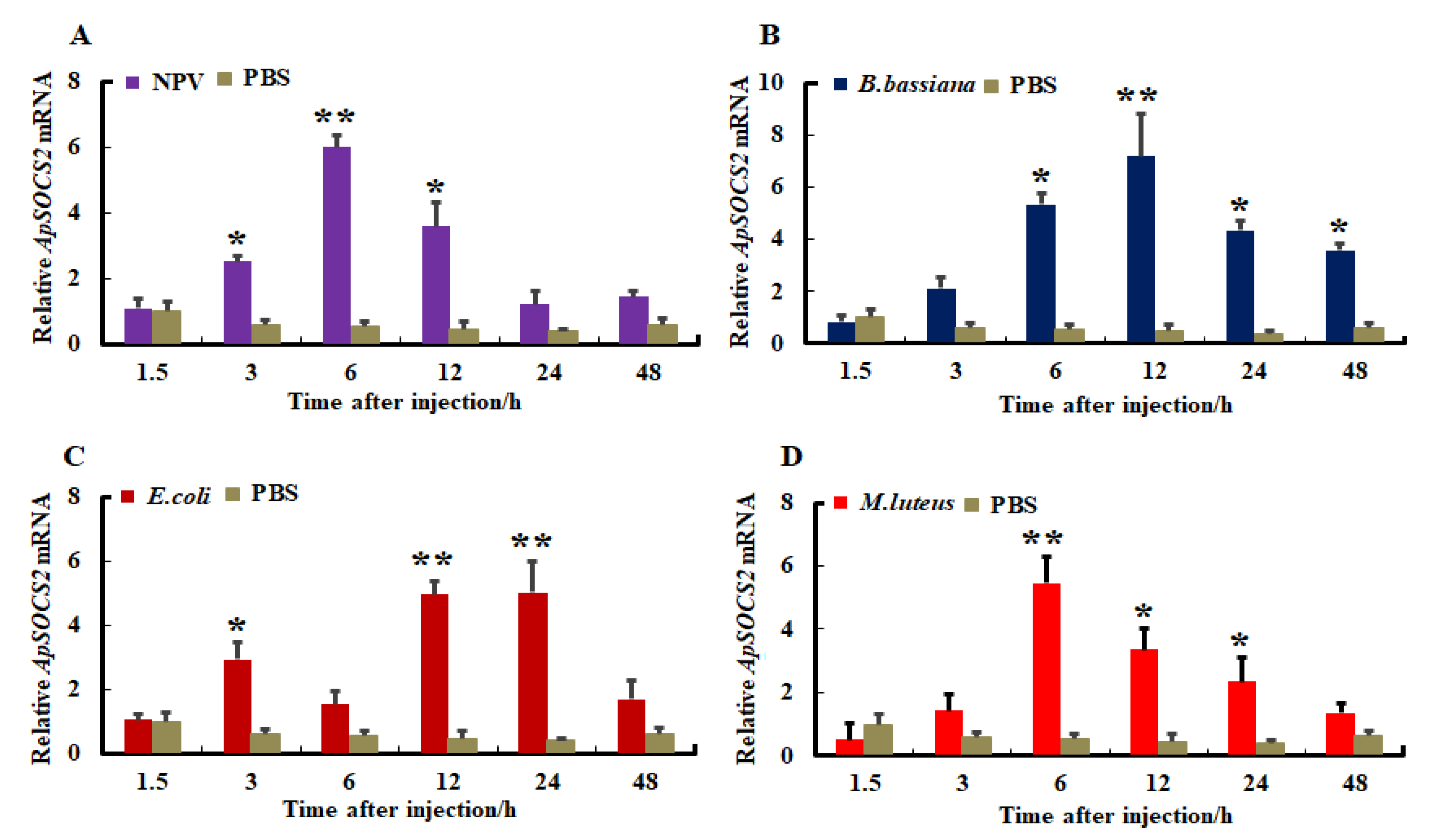 Ijms 23 10389 g005 550