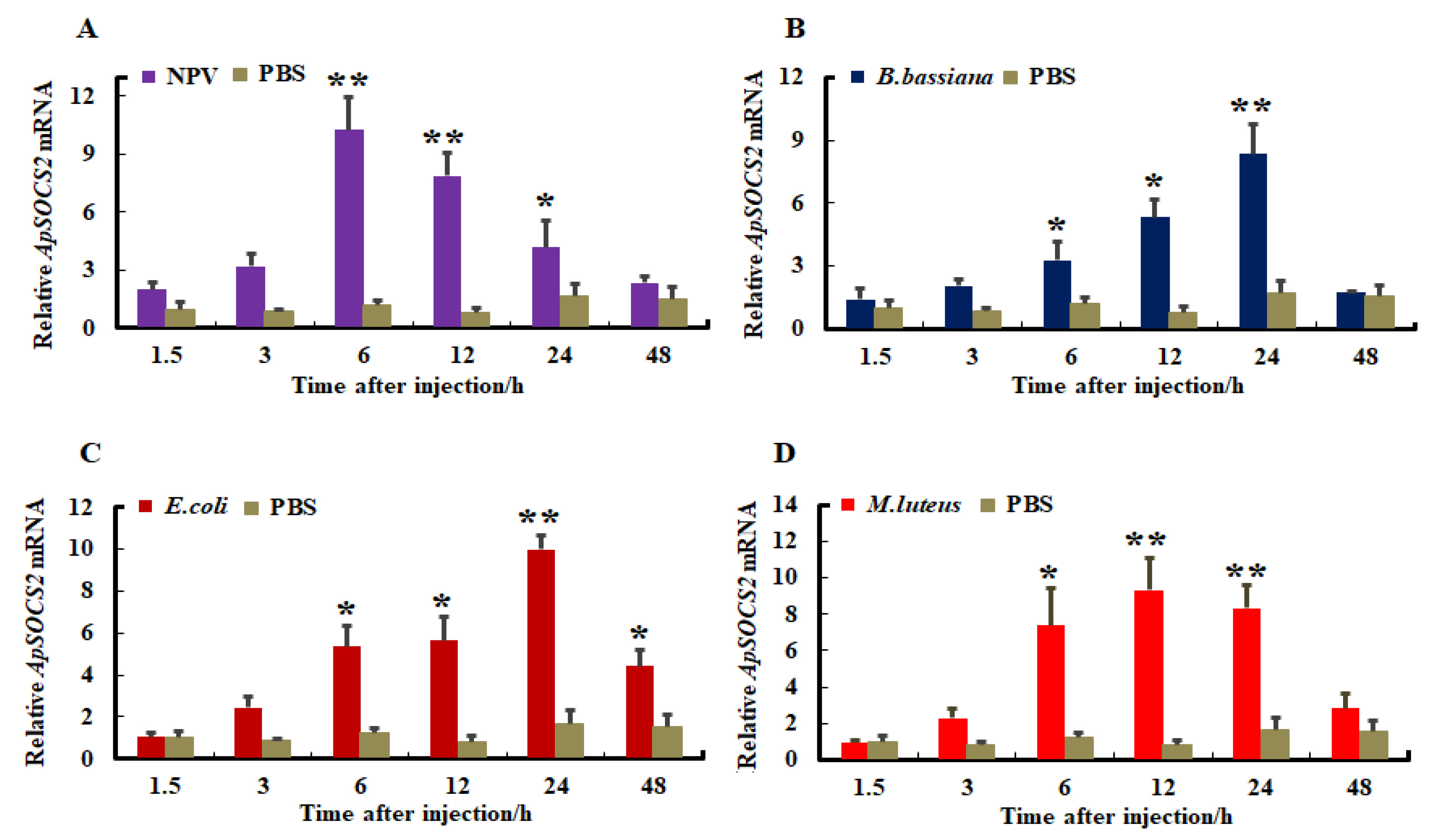 Ijms 23 10389 g006 550