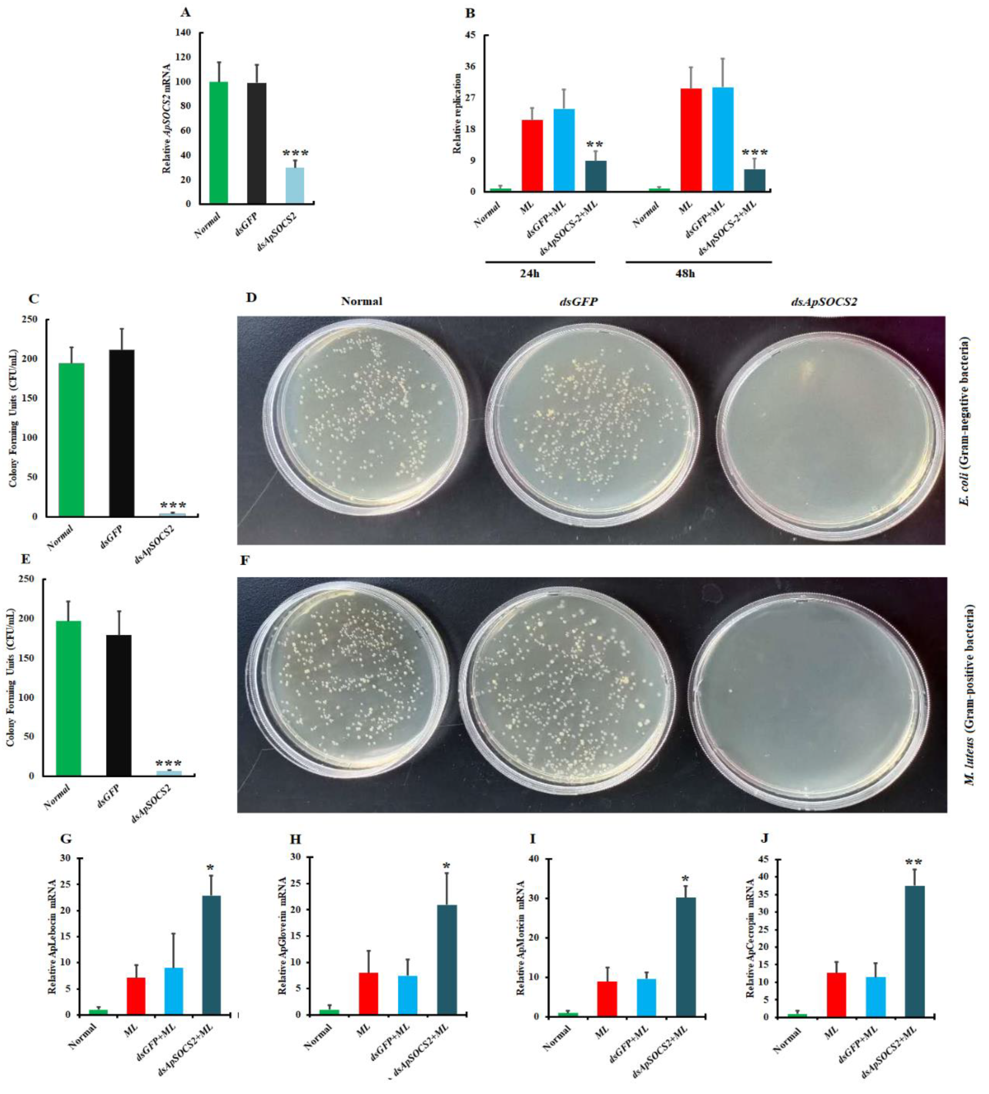 Ijms 23 10389 g007 550