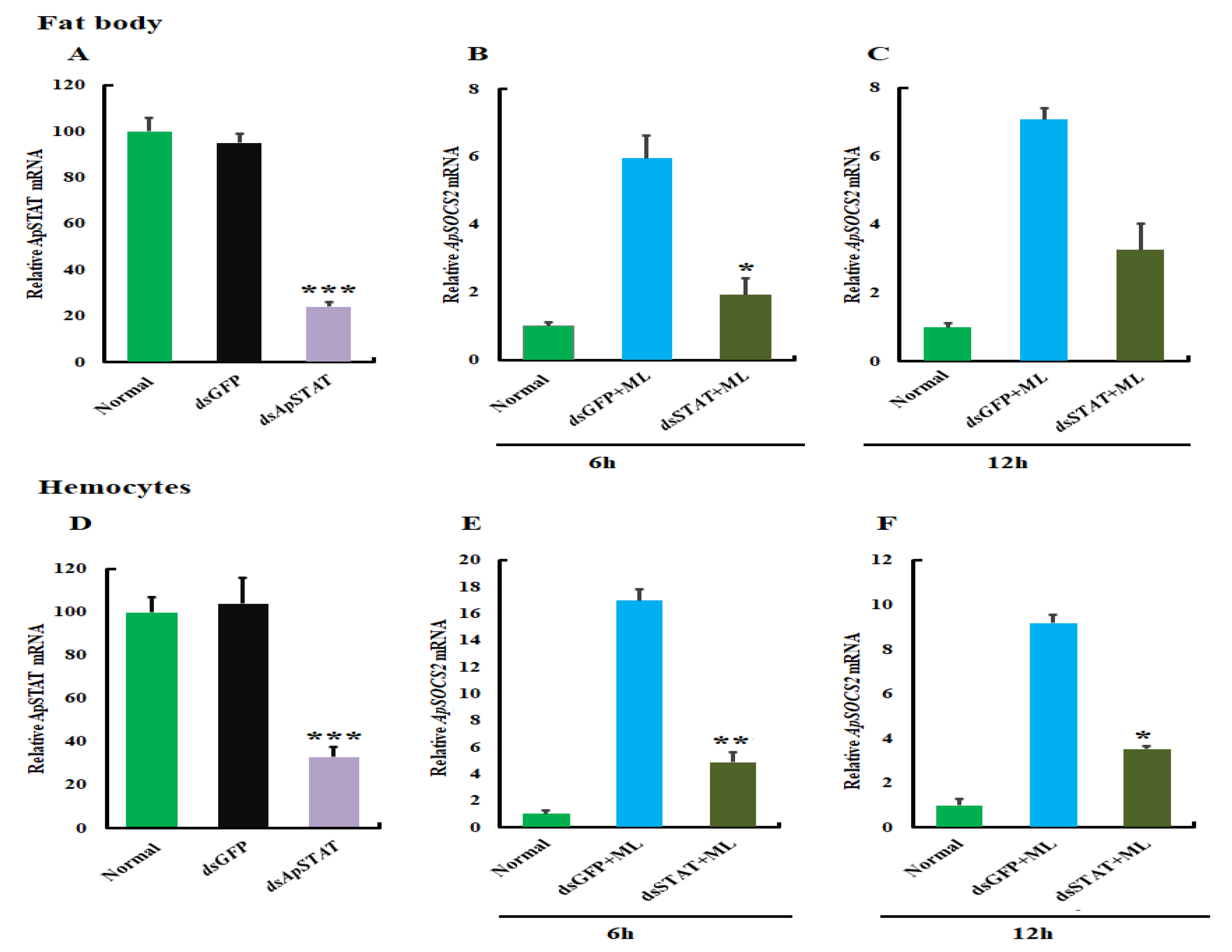 Ijms 23 10389 g009 550