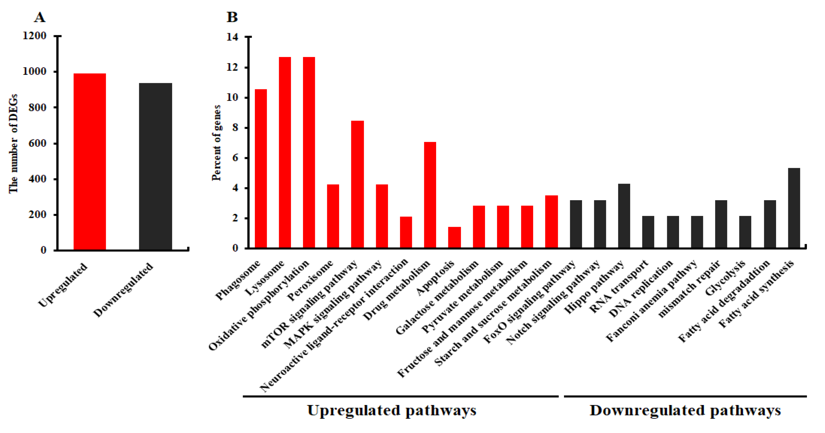 Ijms 23 10389 g010 550