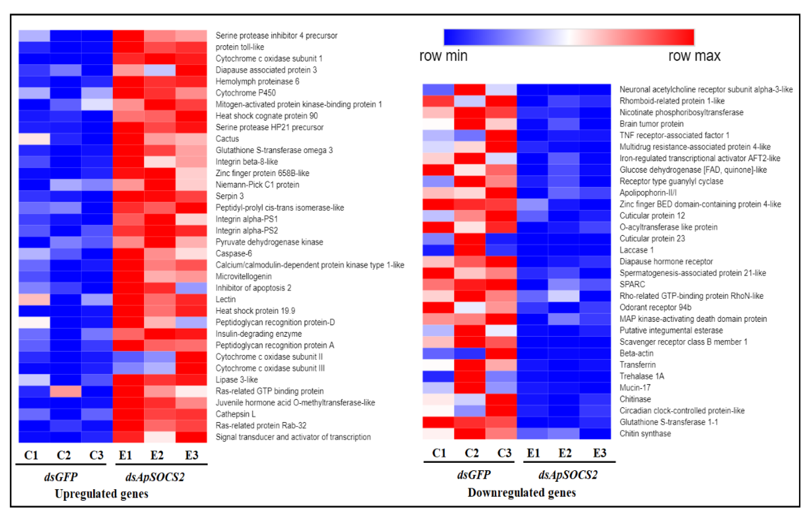 Ijms 23 10389 g011 550