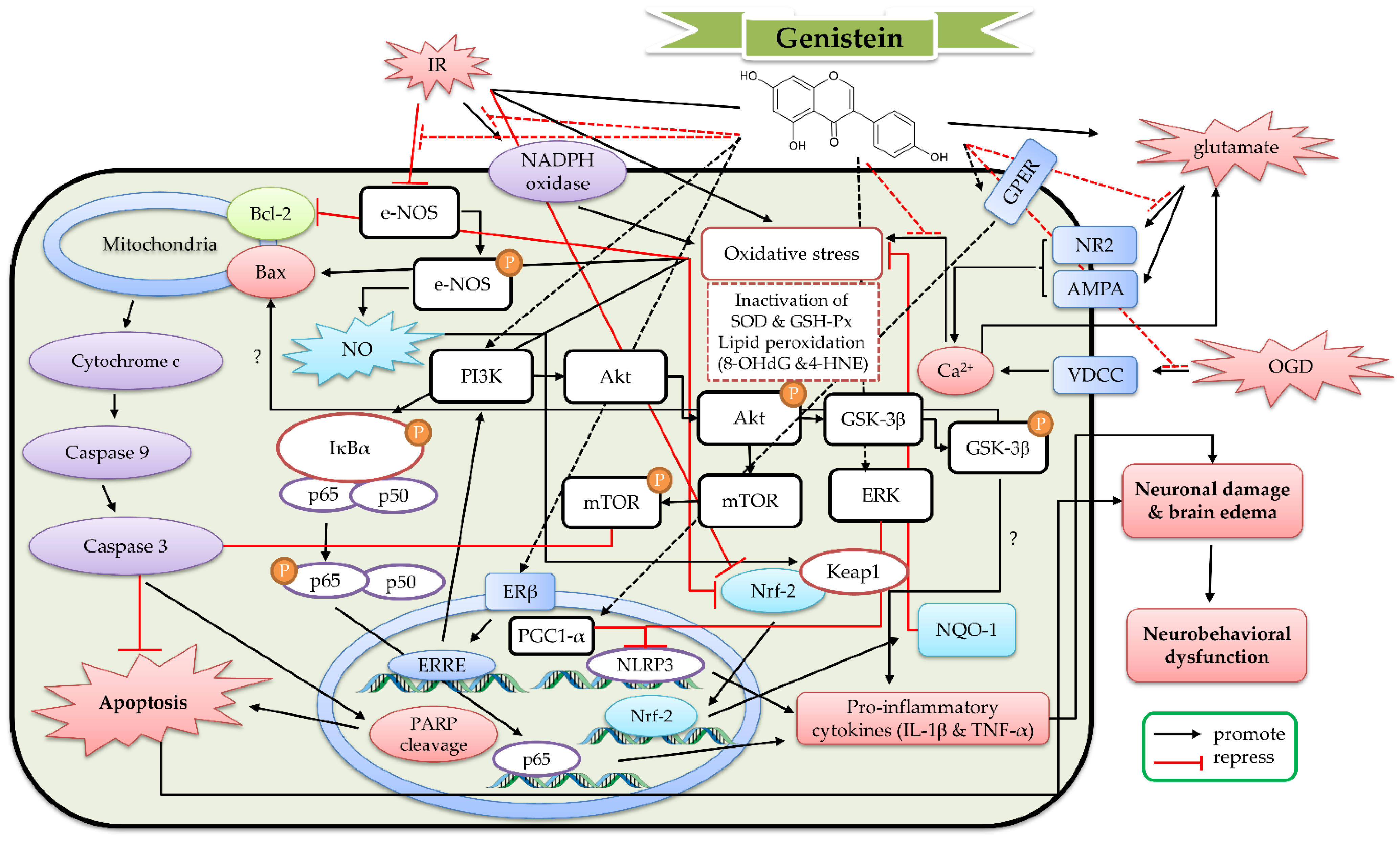 Ijms 23 10394 g005 550