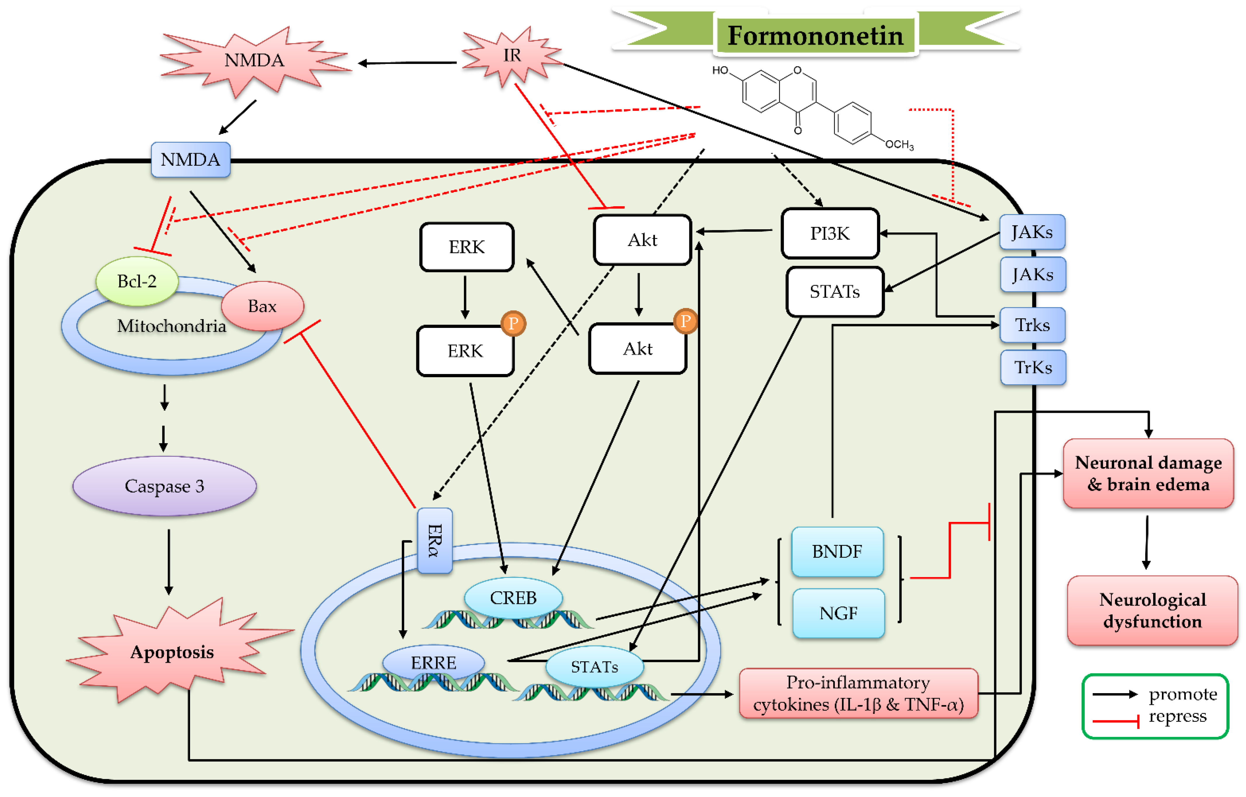 Ijms 23 10394 g008 550