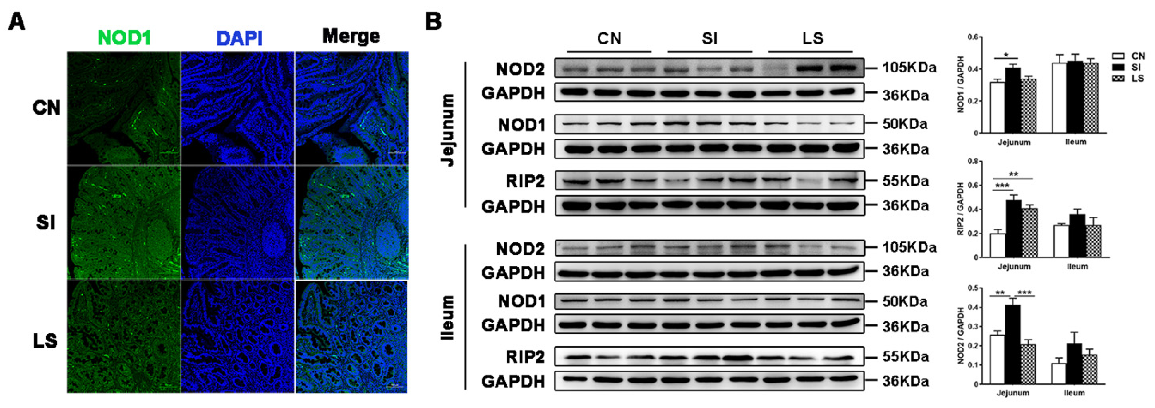 Ijms 23 10395 g001 550