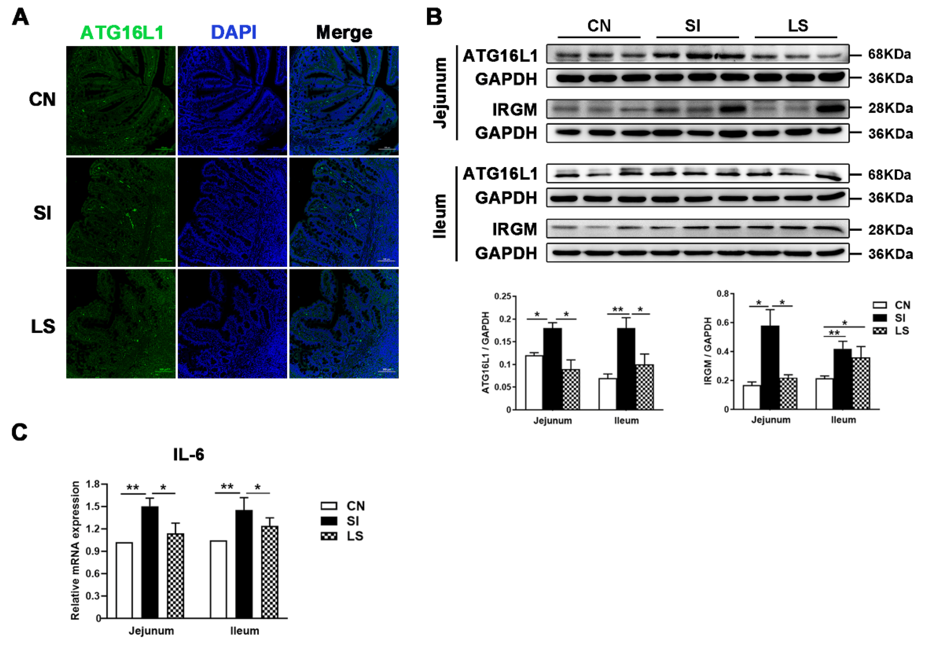 Ijms 23 10395 g002 550
