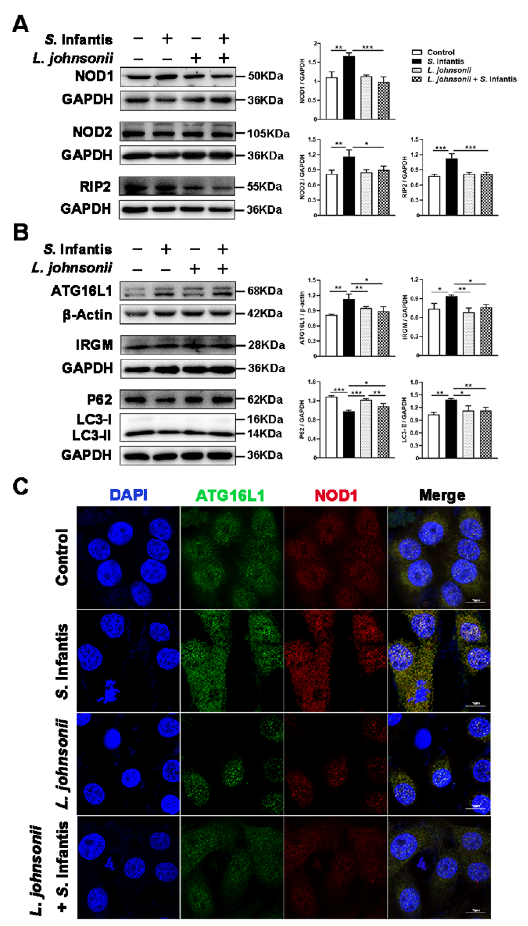 Ijms 23 10395 g003 550