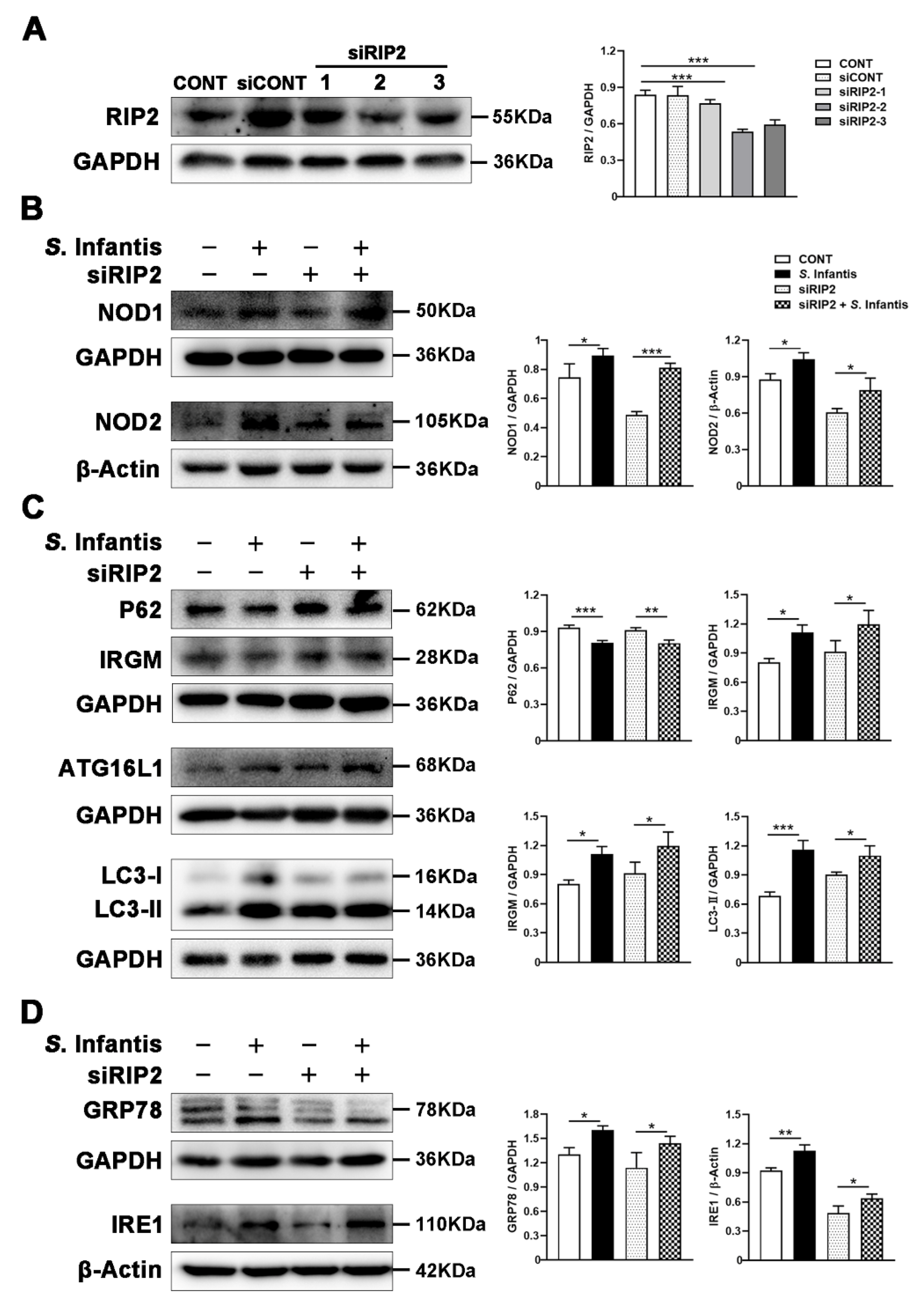 Ijms 23 10395 g006 550