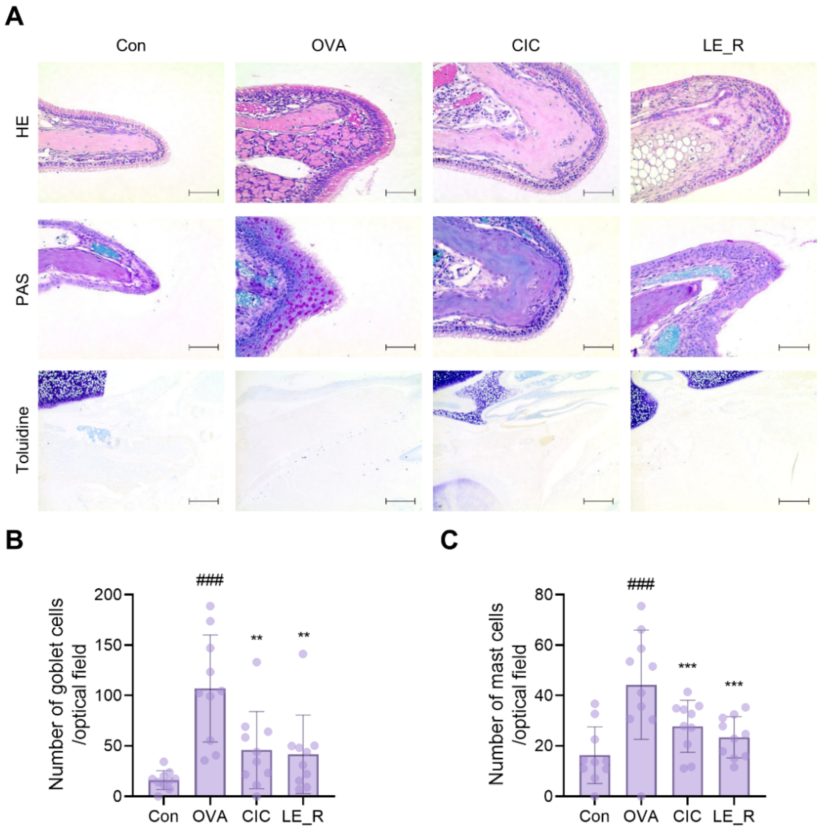 Ijms 23 10403 g005 550