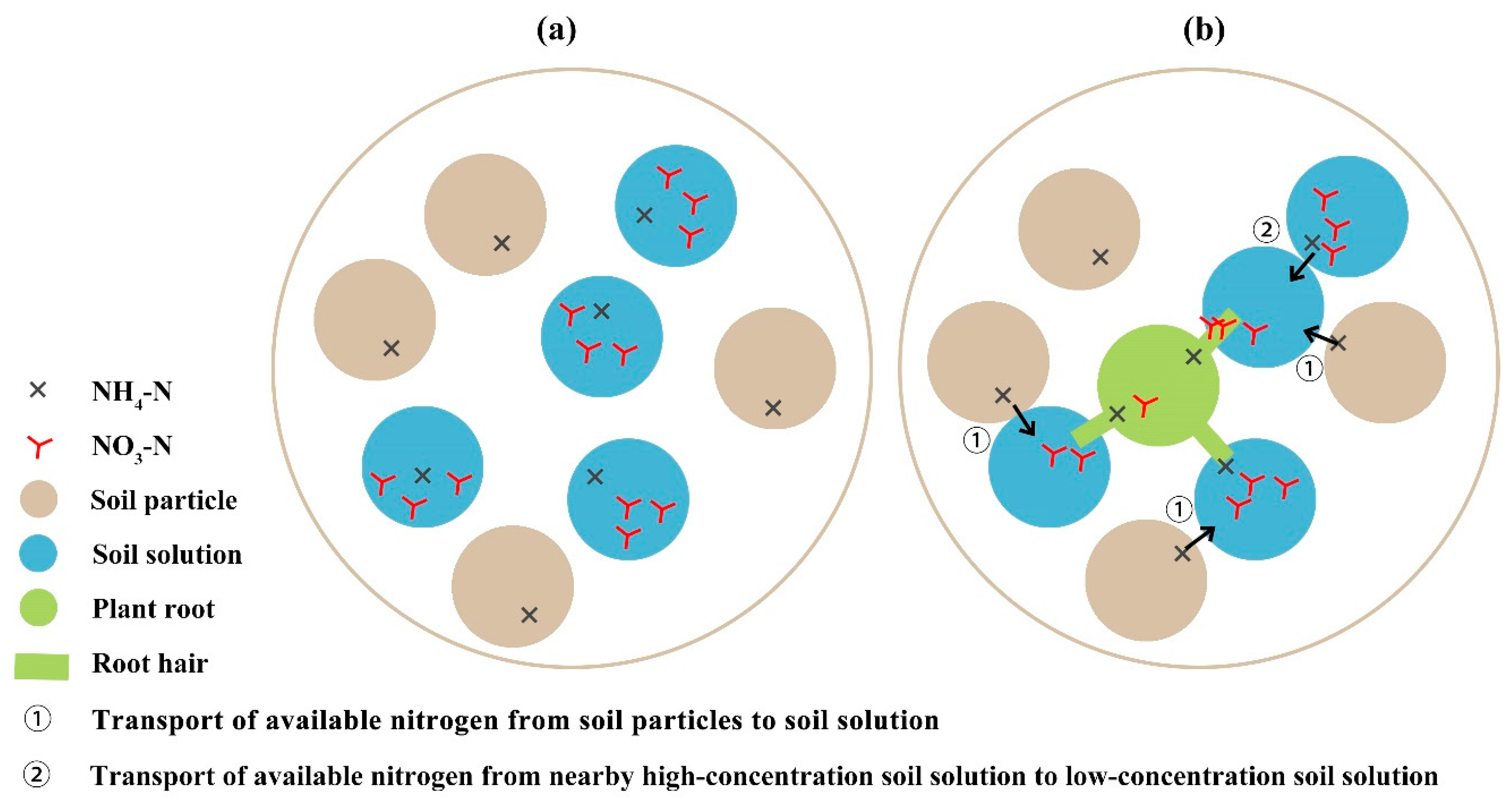 Ijms 23 10404 g005 Ijms 23 10404 g005
