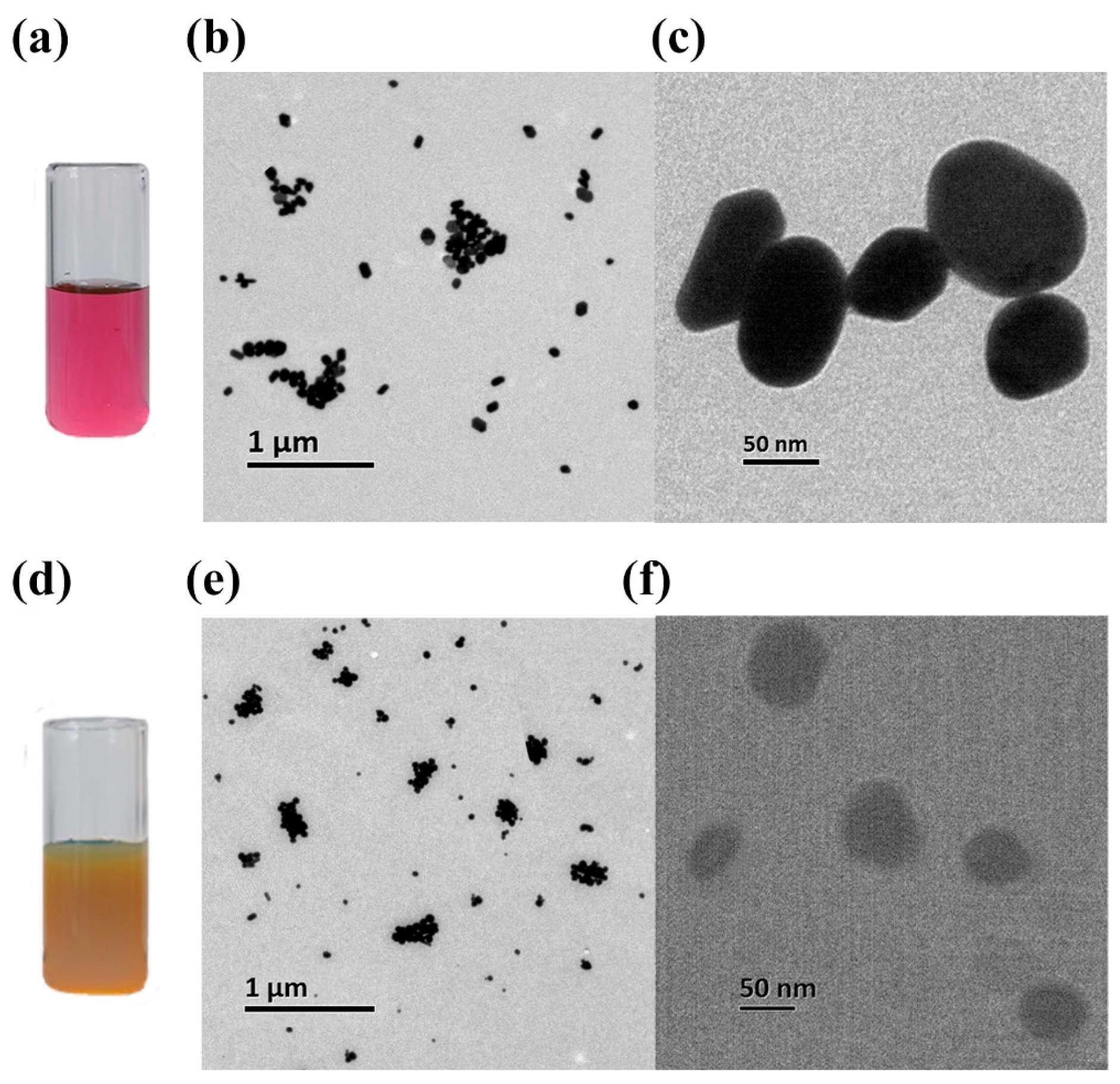 Ijms 23 10404 g006 Ijms 23 10404 g006