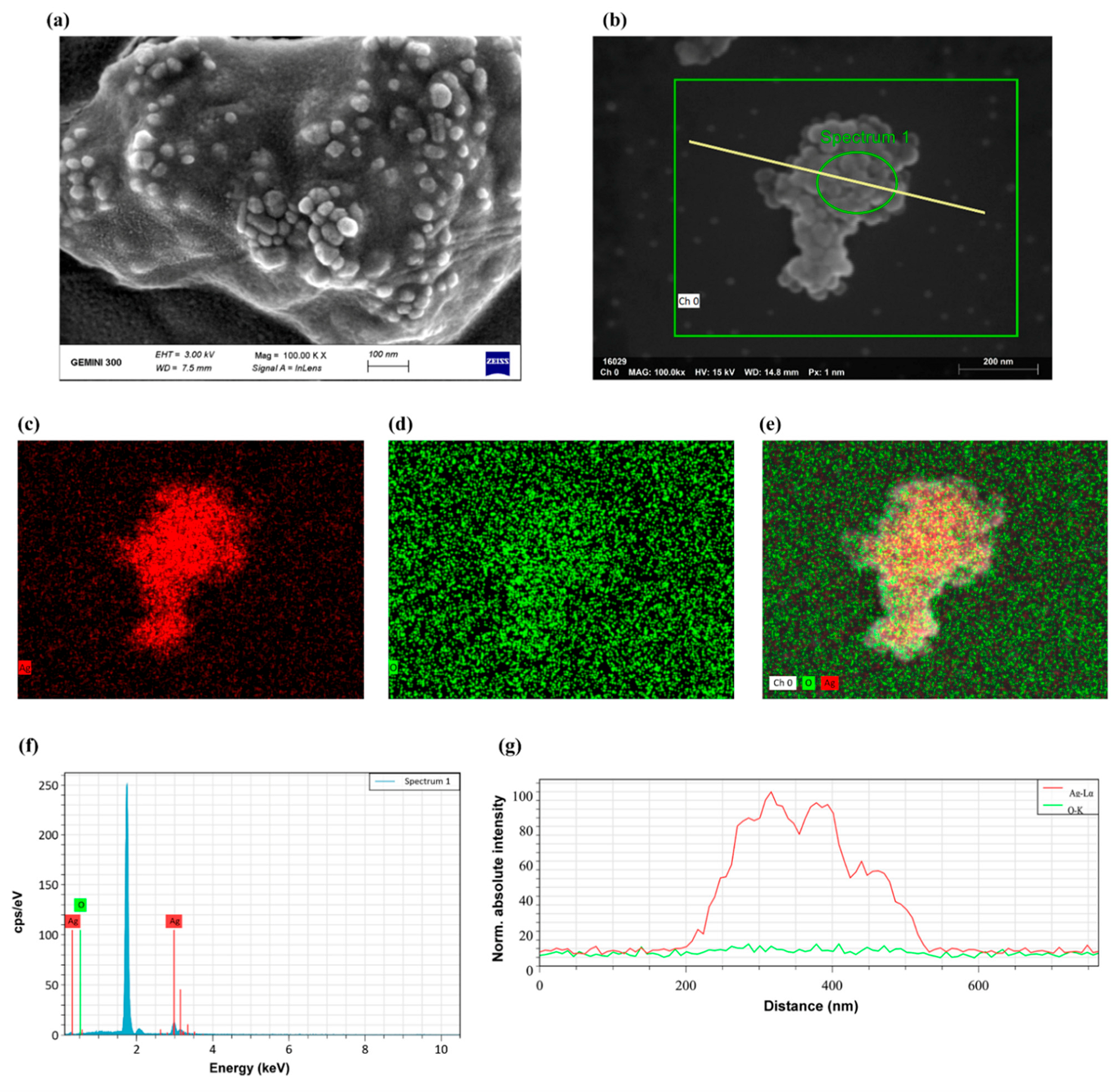 Ijms 23 10404 g008 Ijms 23 10404 g008