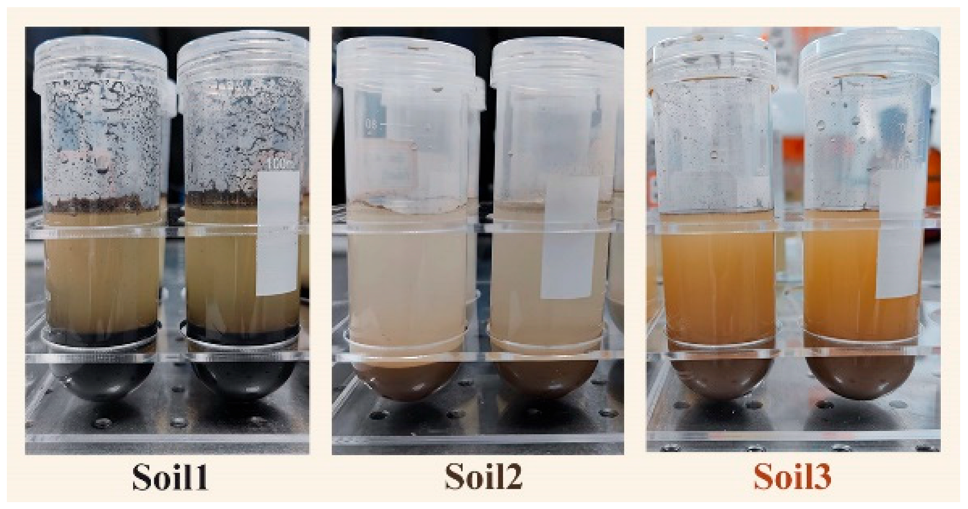 Ijms 23 10404 g018 Ijms 23 10404 g018