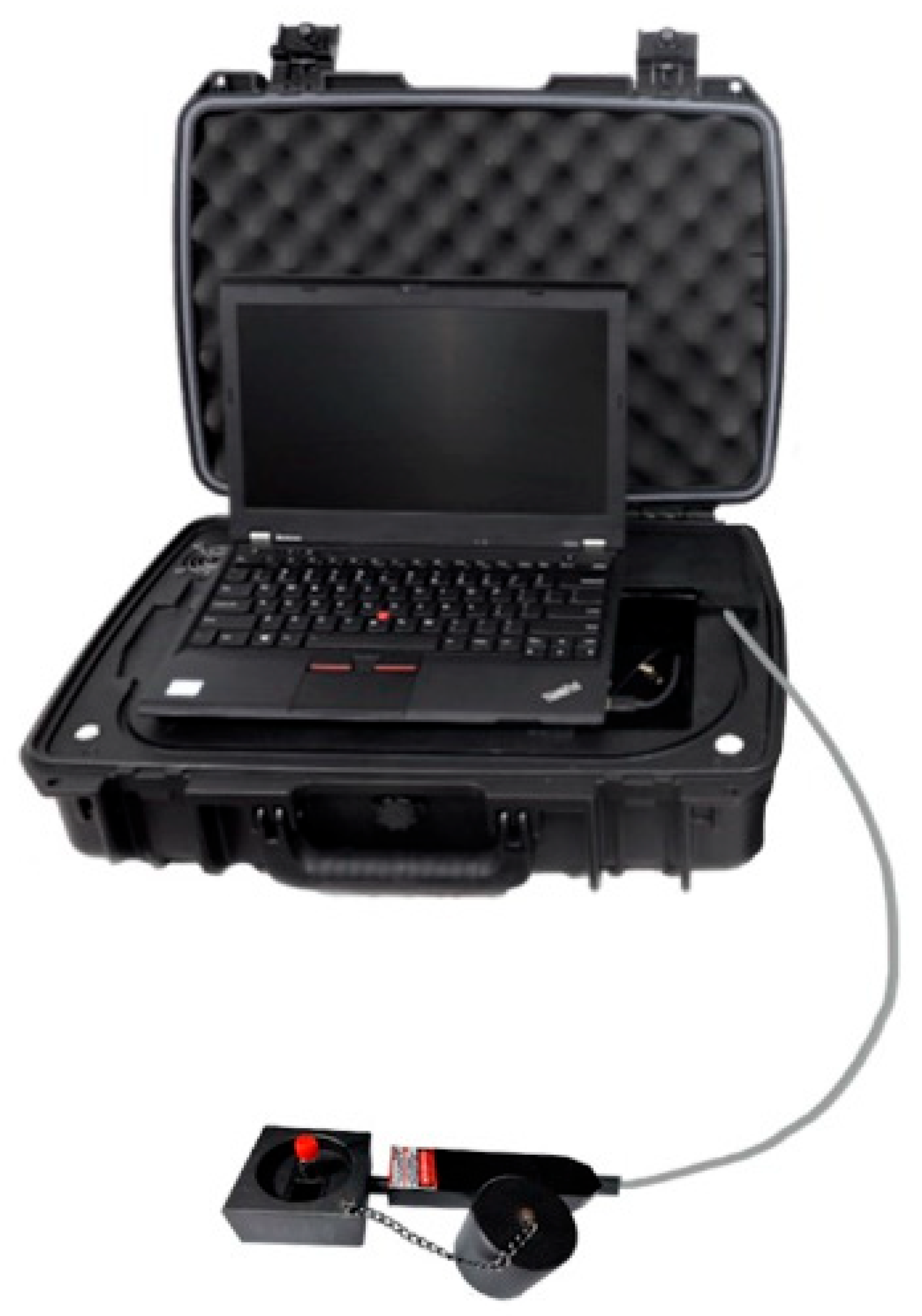 Ijms 23 10404 g019 Ijms 23 10404 g019