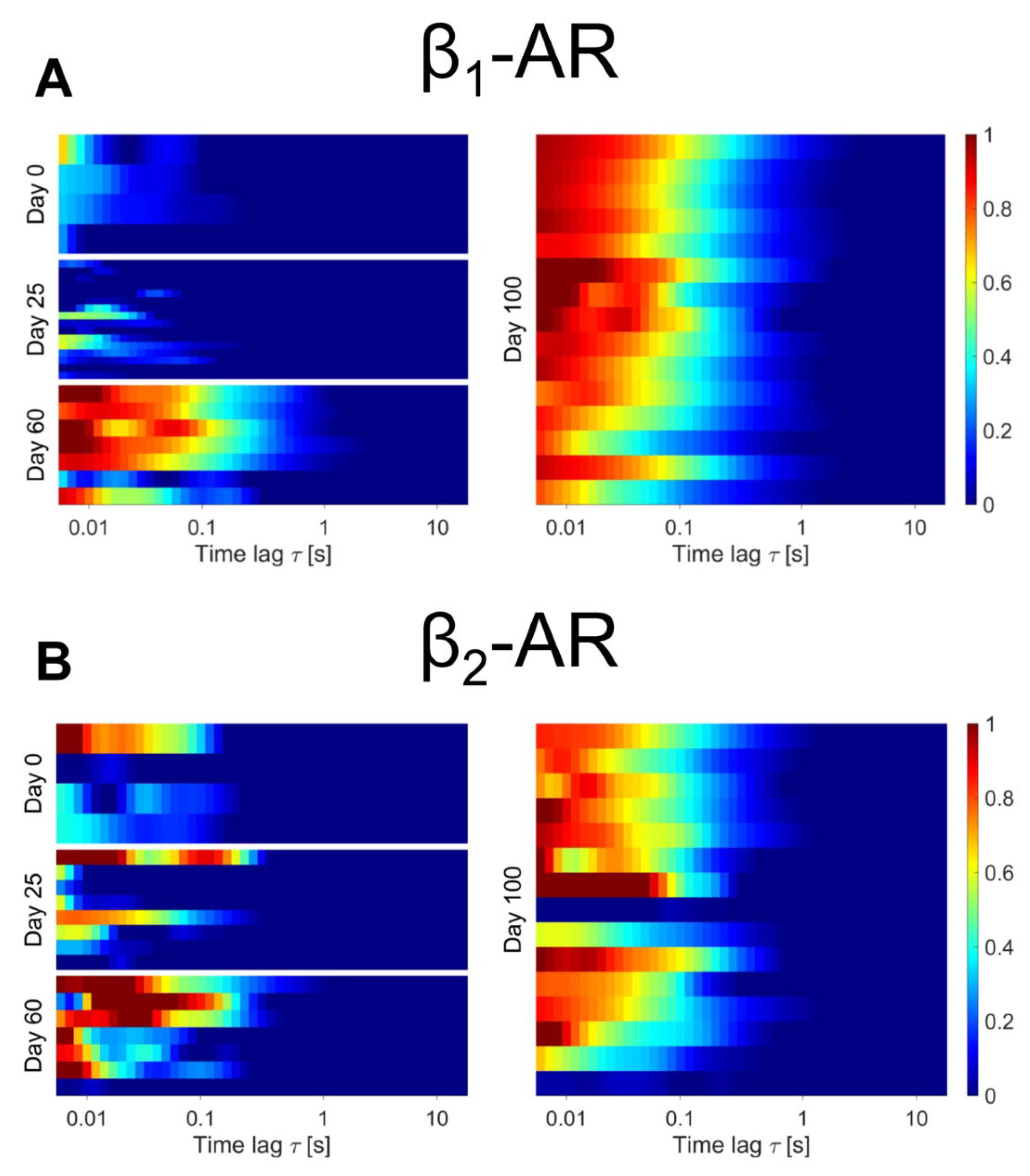 Ijms 23 10405 g003 550
