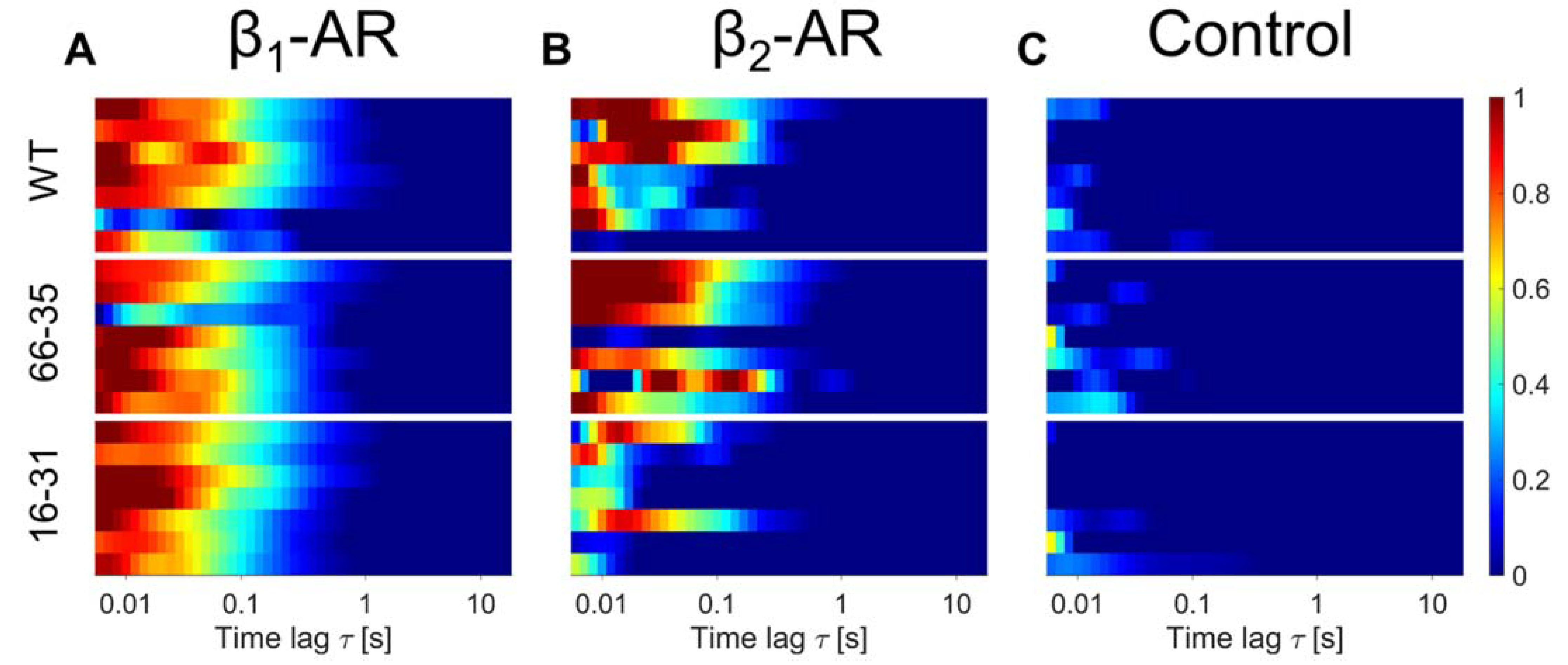 Ijms 23 10405 g004 550