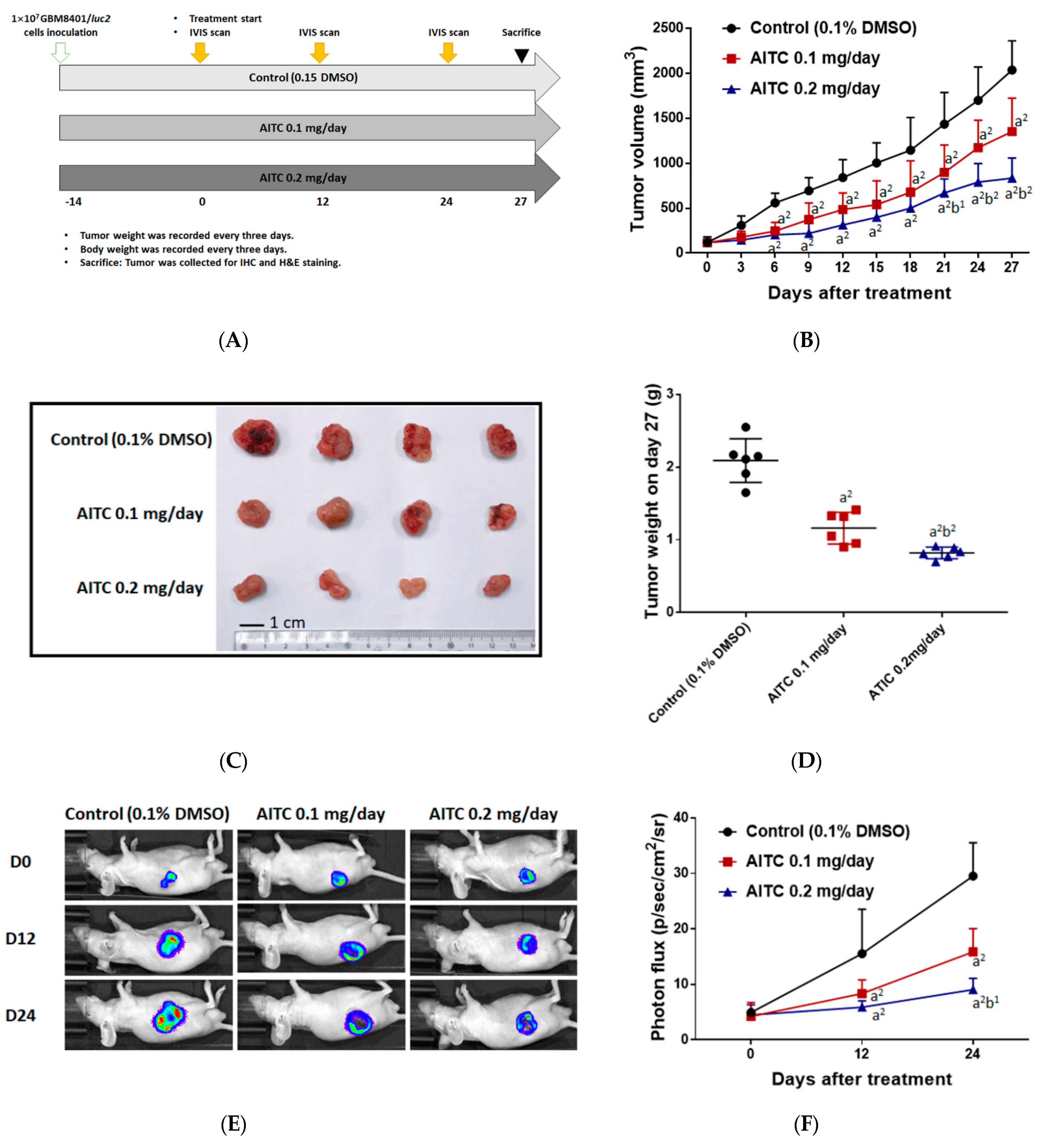 Ijms 23 10411 g003 Ijms 23 10411 g003