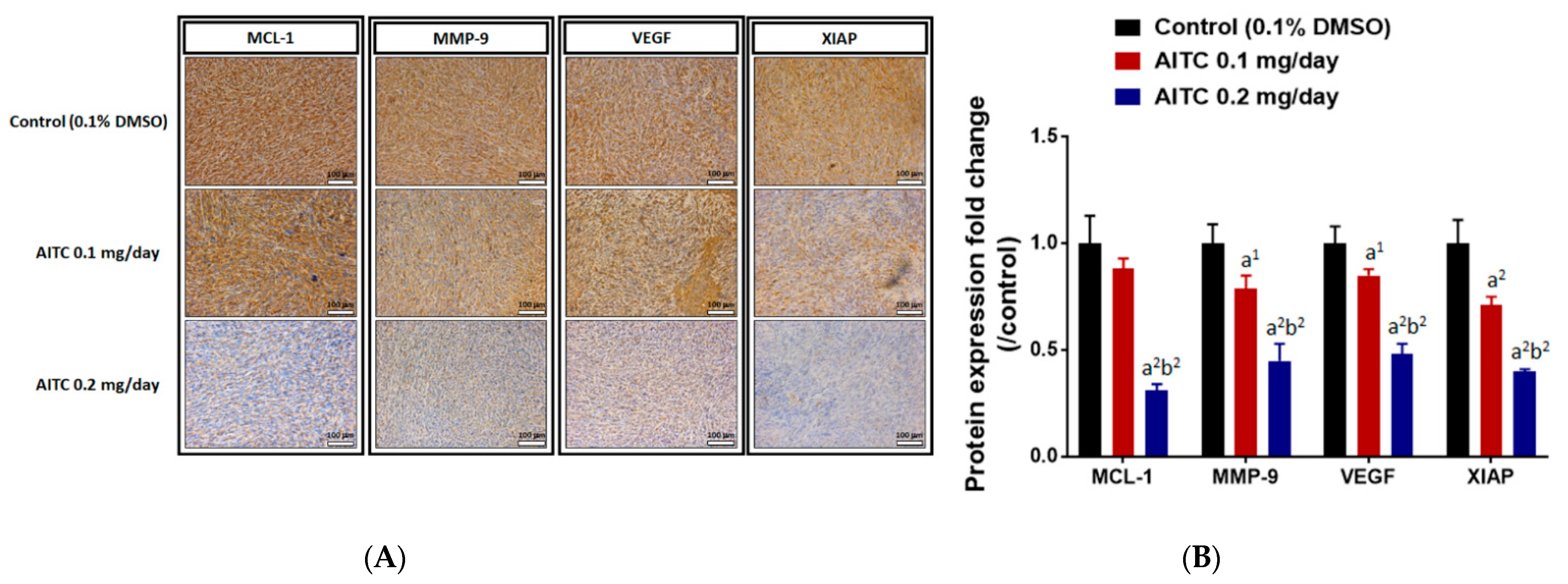 Ijms 23 10411 g005 Ijms 23 10411 g005