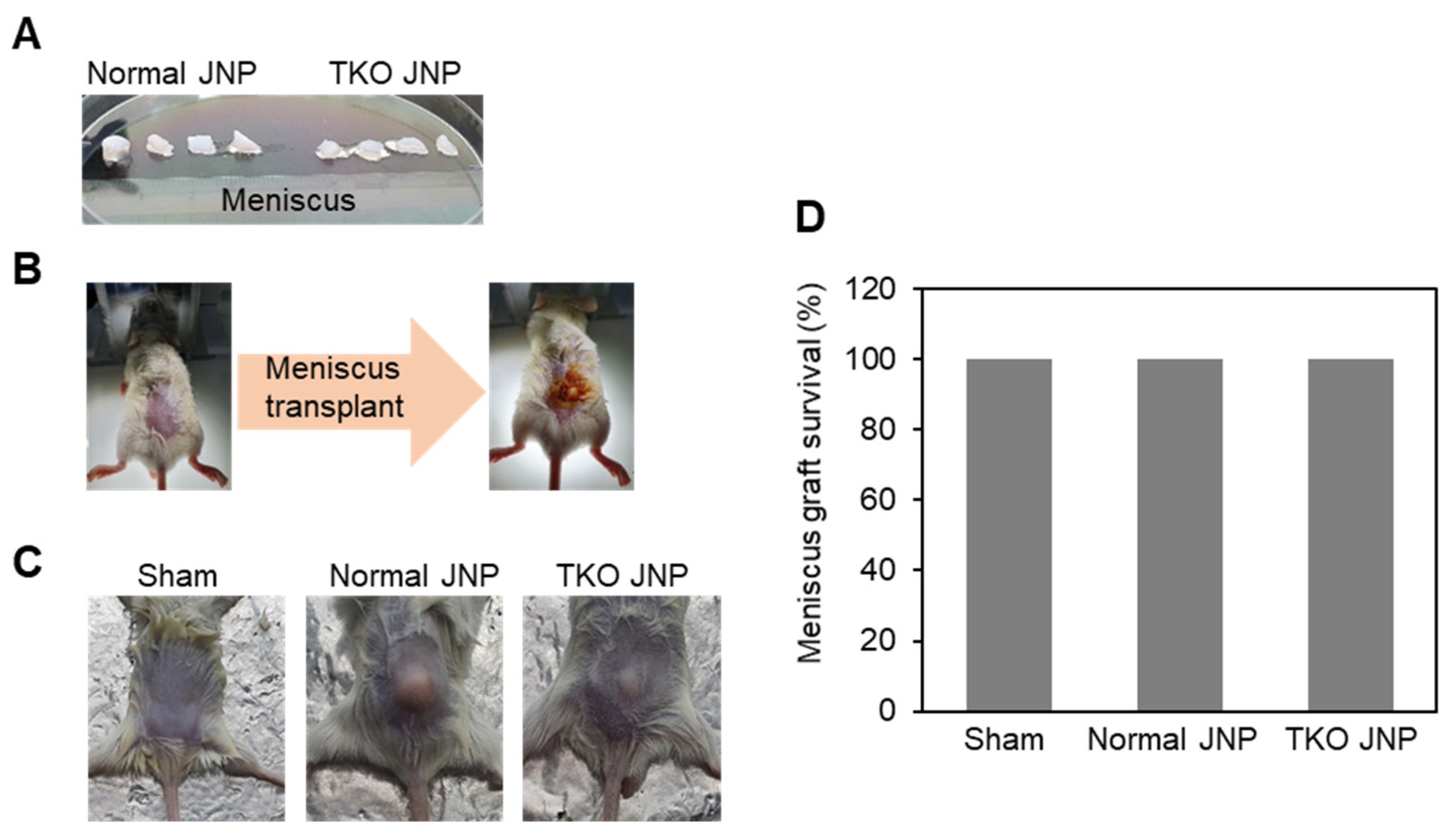 Ijms 23 10416 g001 550