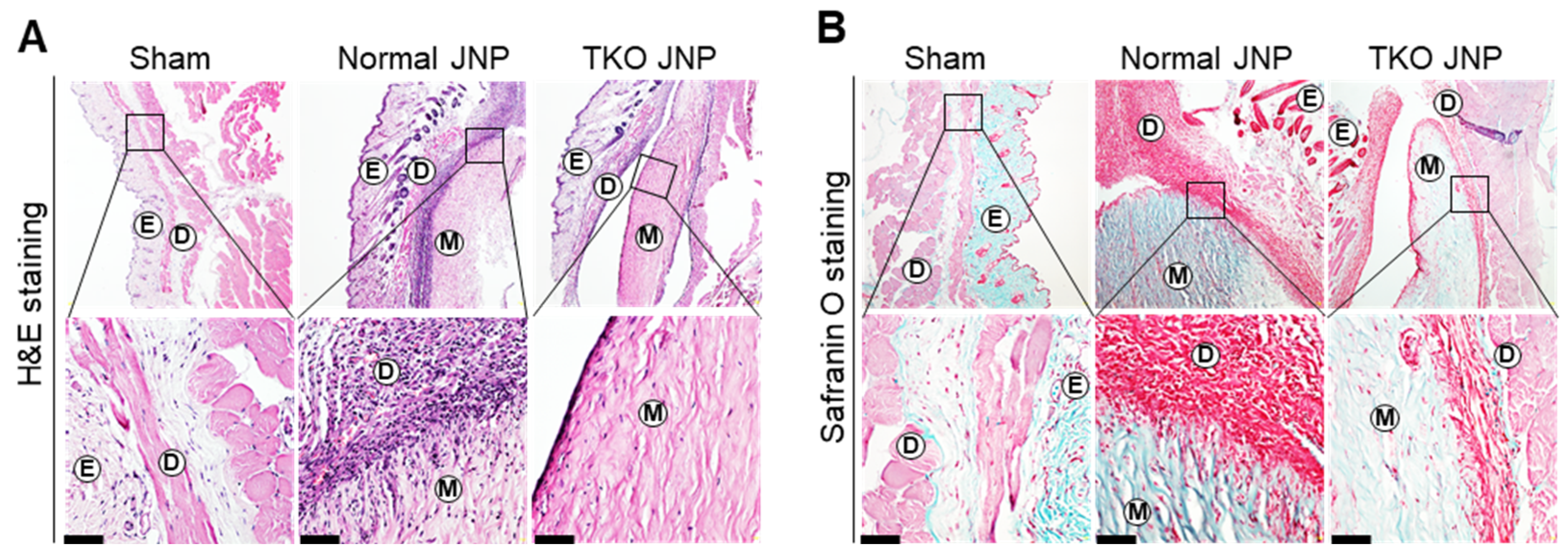 Ijms 23 10416 g002 550