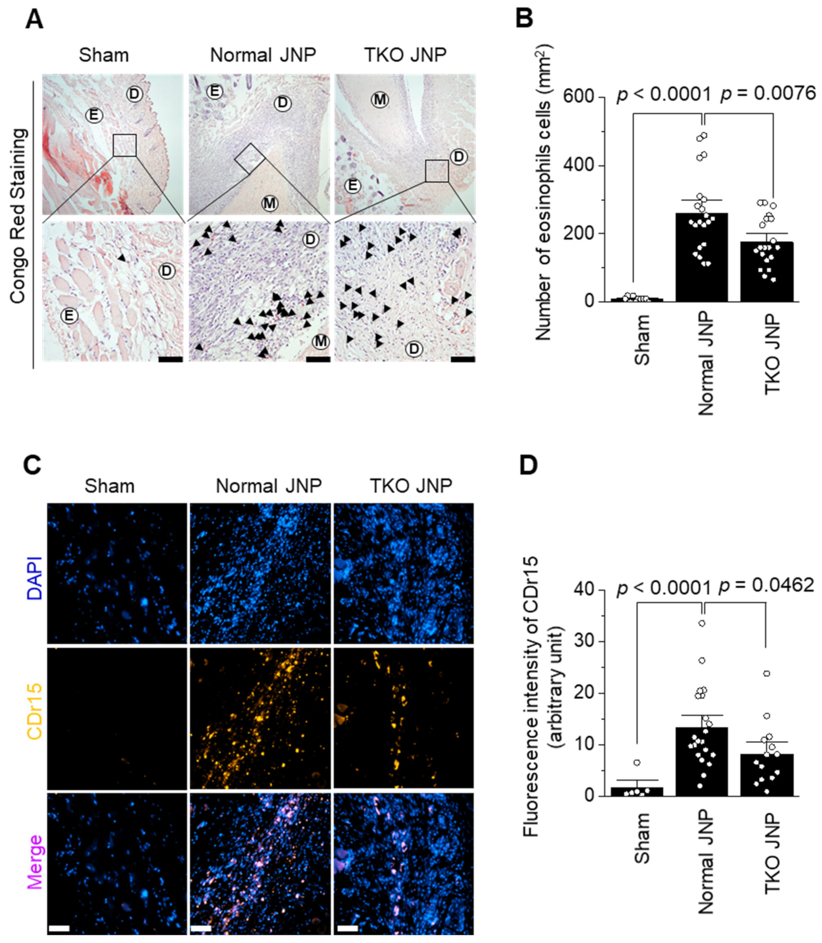 Ijms 23 10416 g004 550