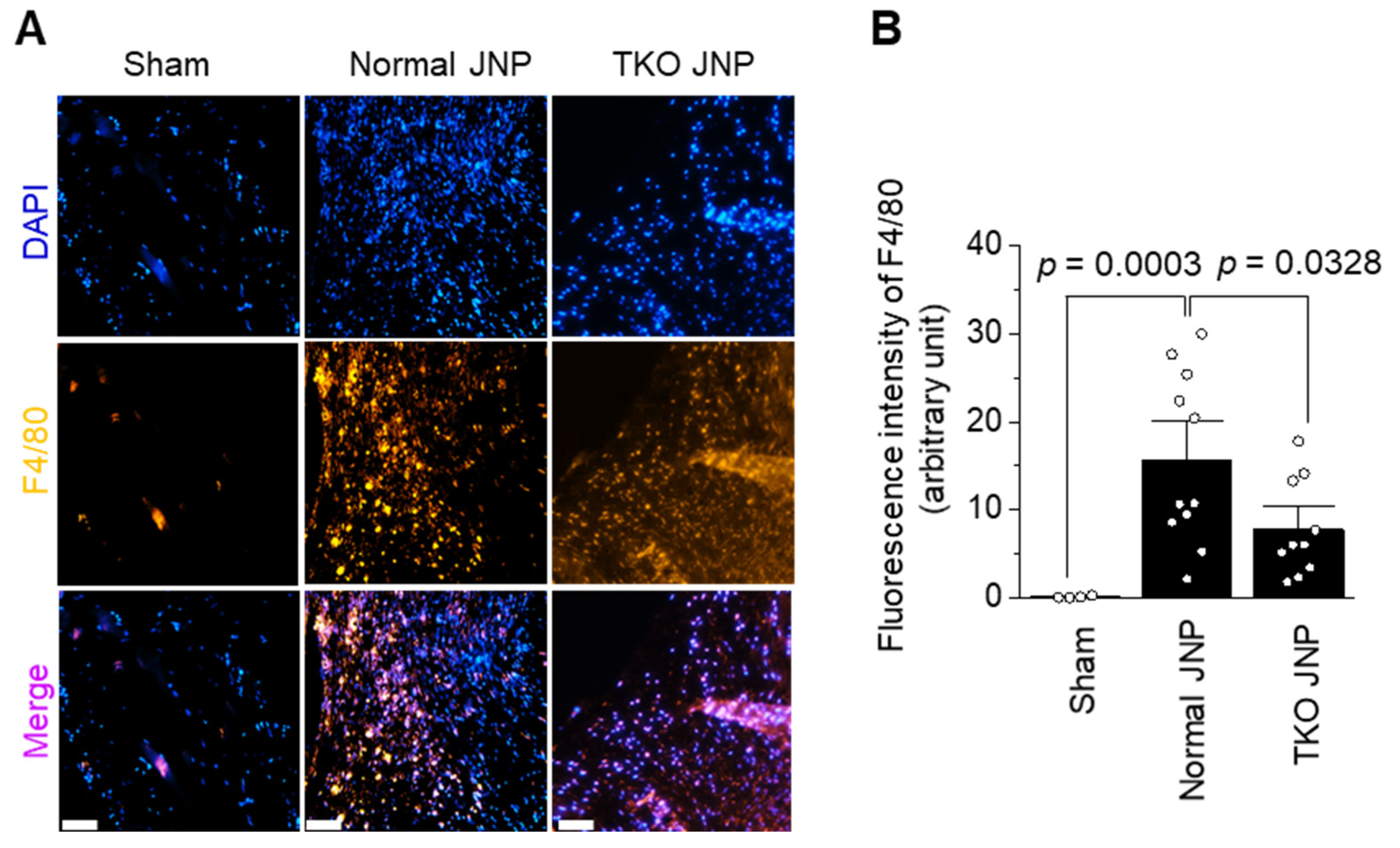Ijms 23 10416 g005 550