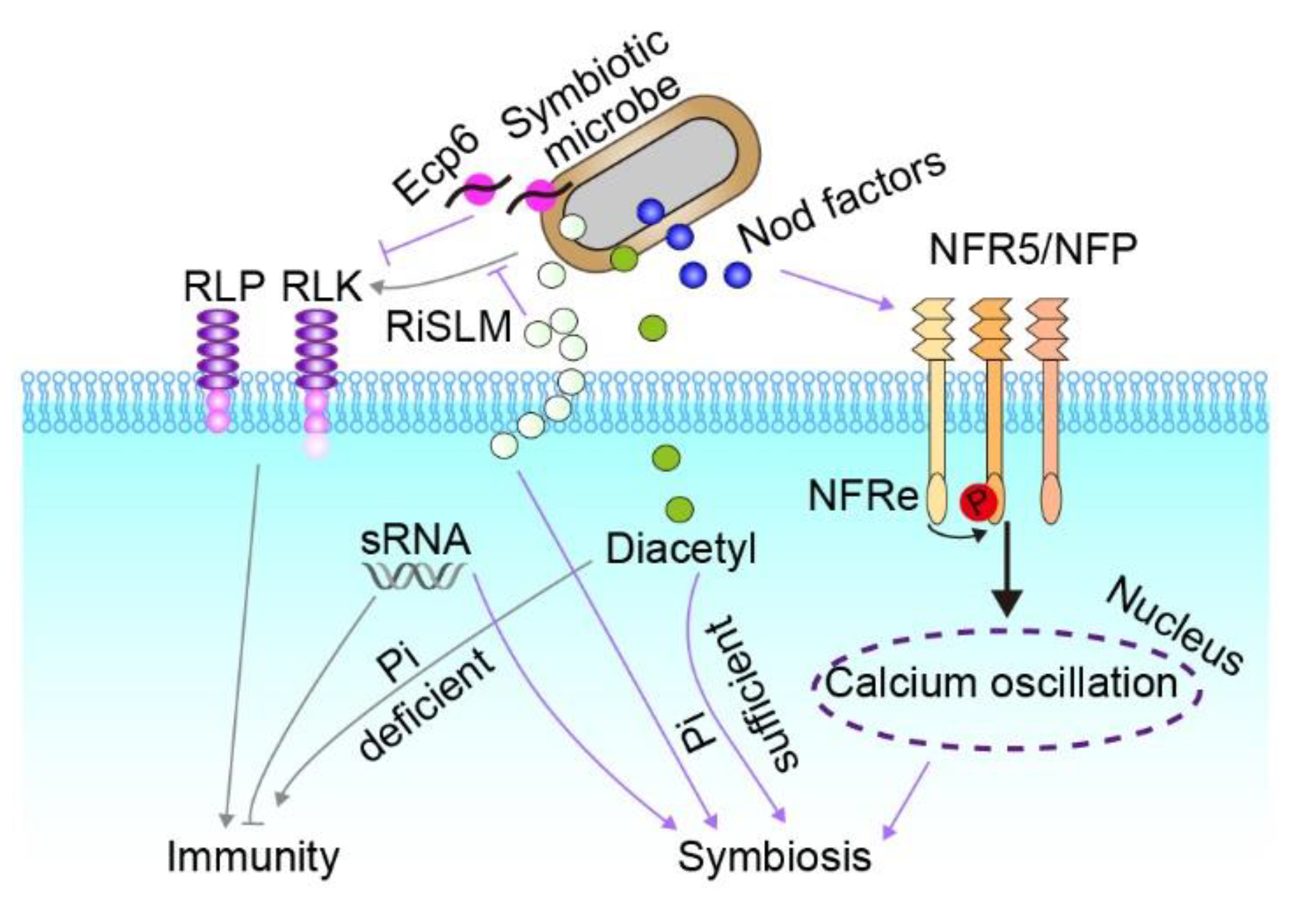 Ijms 23 10427 g002 550