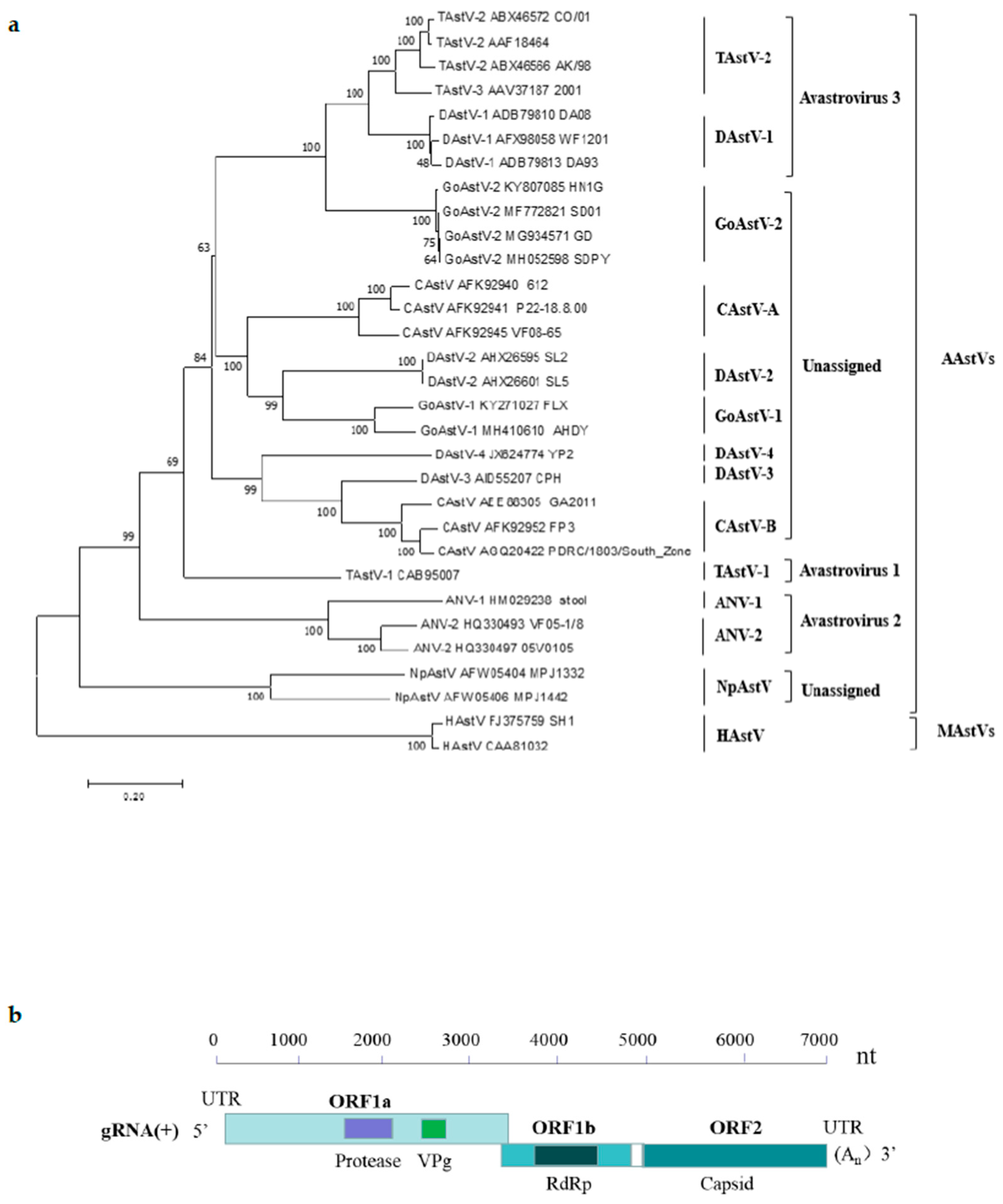 Ijms 23 10429 g001 550