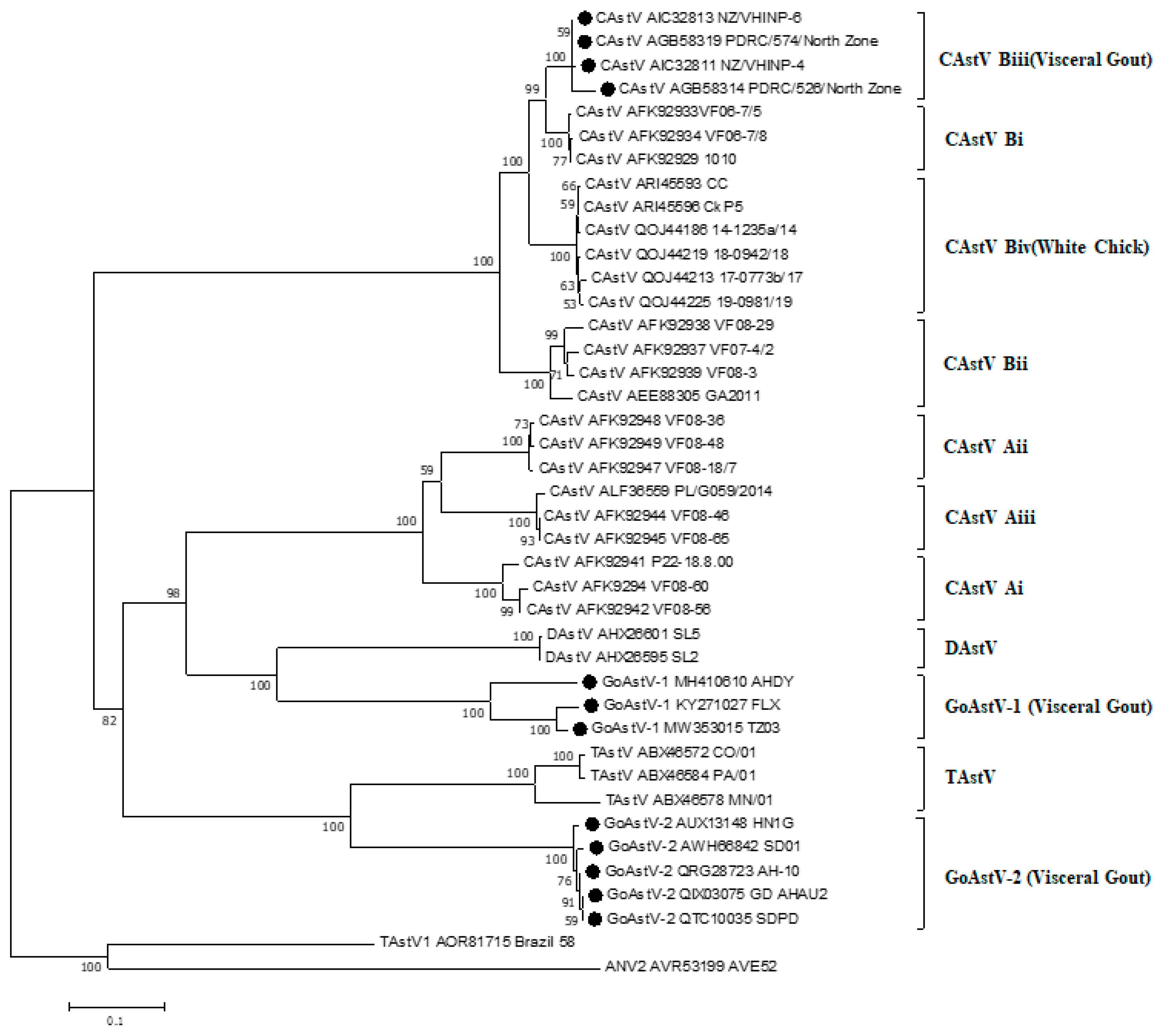 Ijms 23 10429 g003 550