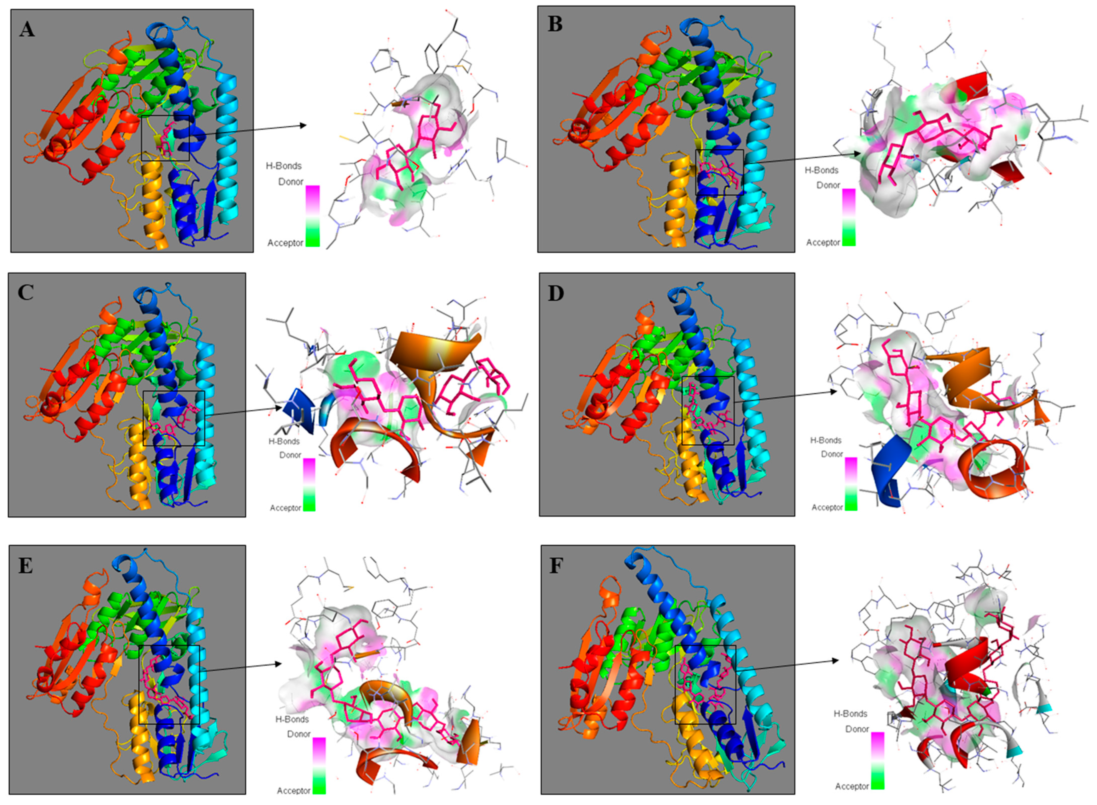 Ijms 23 10430 g009 550